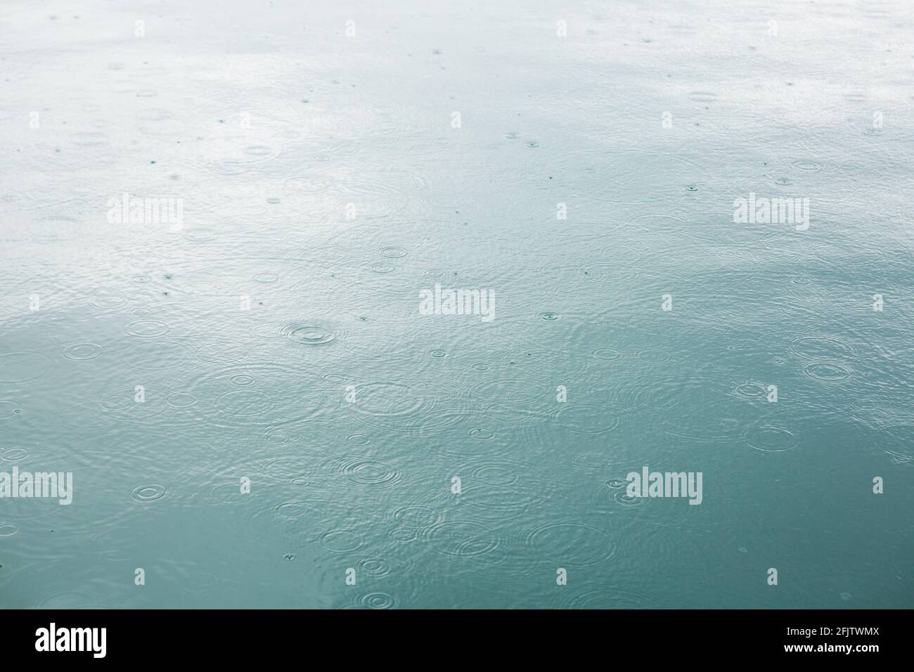 Gocce di pioggia che cadono sul mare, Golfo di Trieste, Italia Foto Stock
