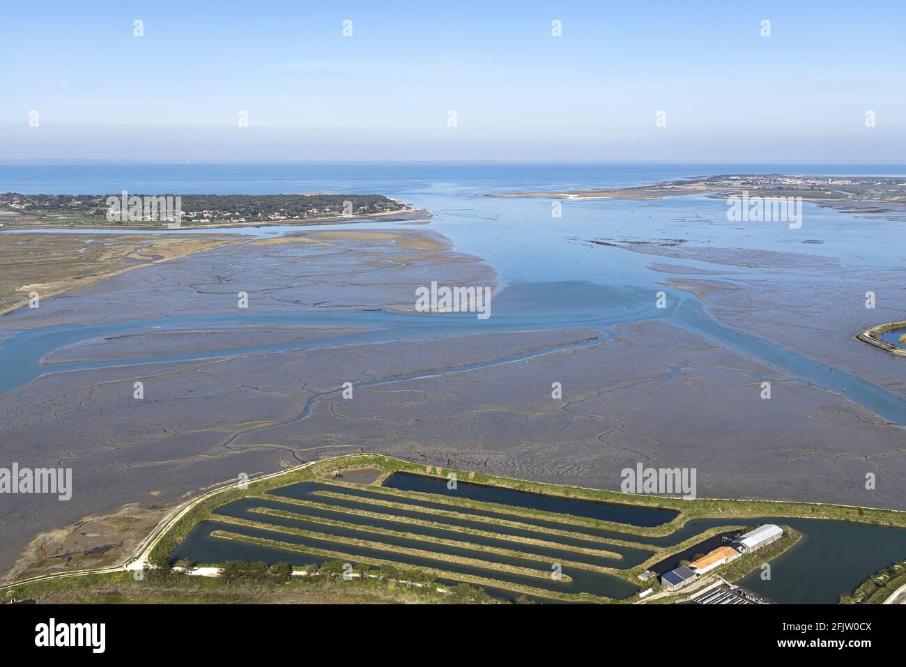 Francia, Charente Maritime, Les Portes en Re, la Pointe du Fier, la foresta di Fier d'Ars e Trousse Chemise (vista aerea) Foto Stock
