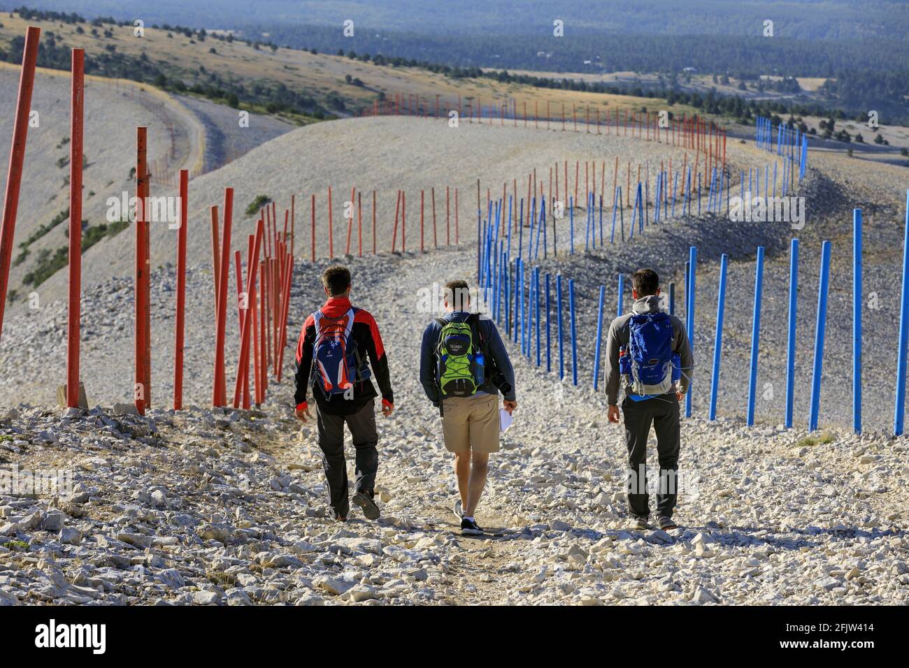 Francia, Vaucluse, Parc Naturel Regional du Mont Ventoux, Bedoin, Mont Ventoux, escursione con una guida, percorso da Sud a Nord due facce del Geant, la discesa Foto Stock