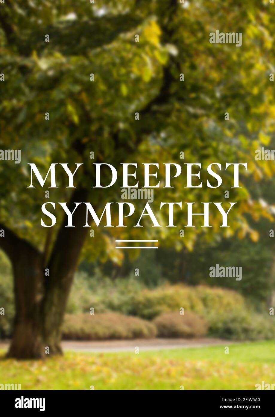 Immagine generata digitalmente del testo del concetto di simpatia rispetto all'albero in il parco Foto Stock