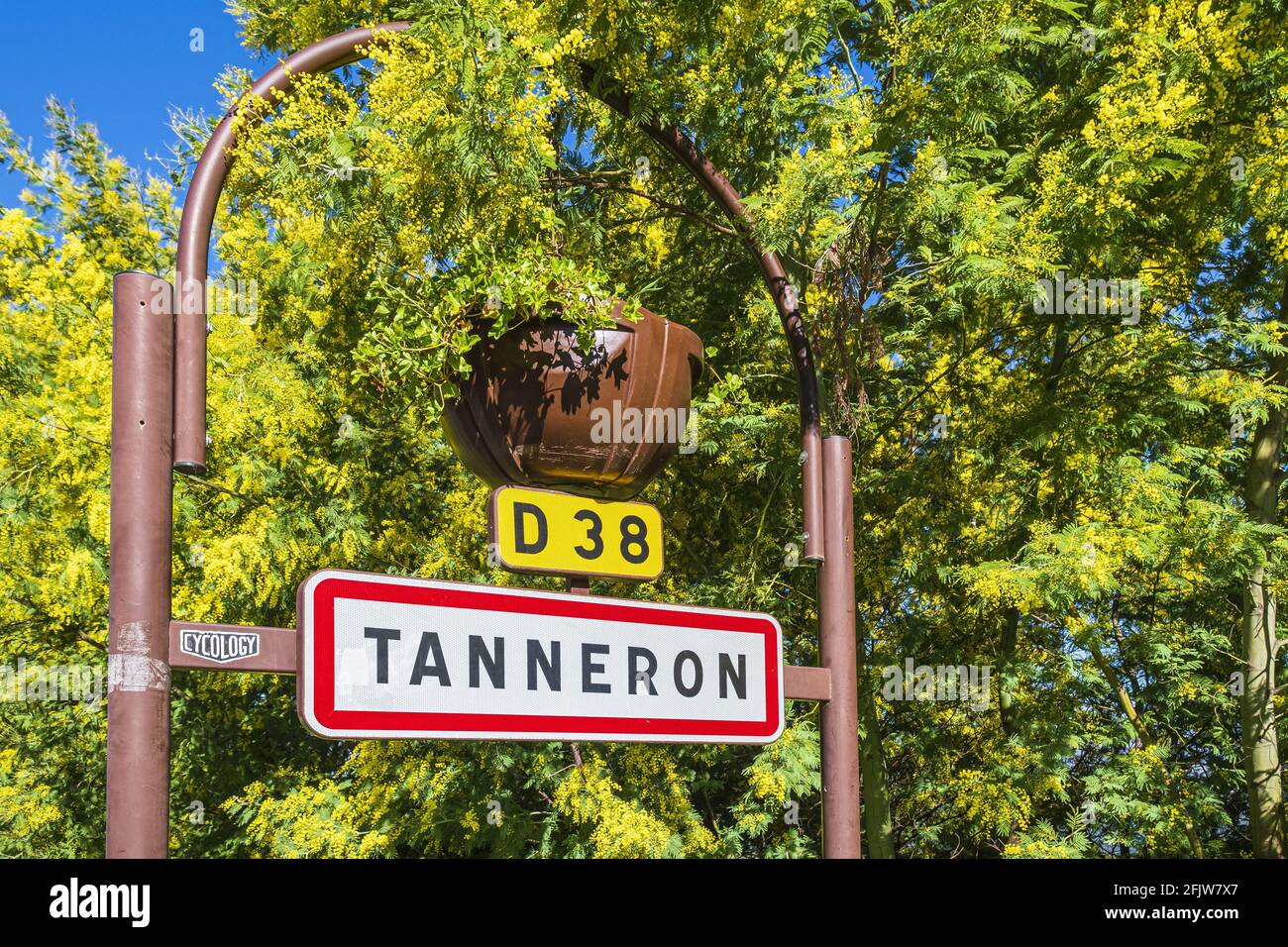 Francia, Var, Tanneron, villaggio arroccato circondato da una foresta di mimose Foto Stock