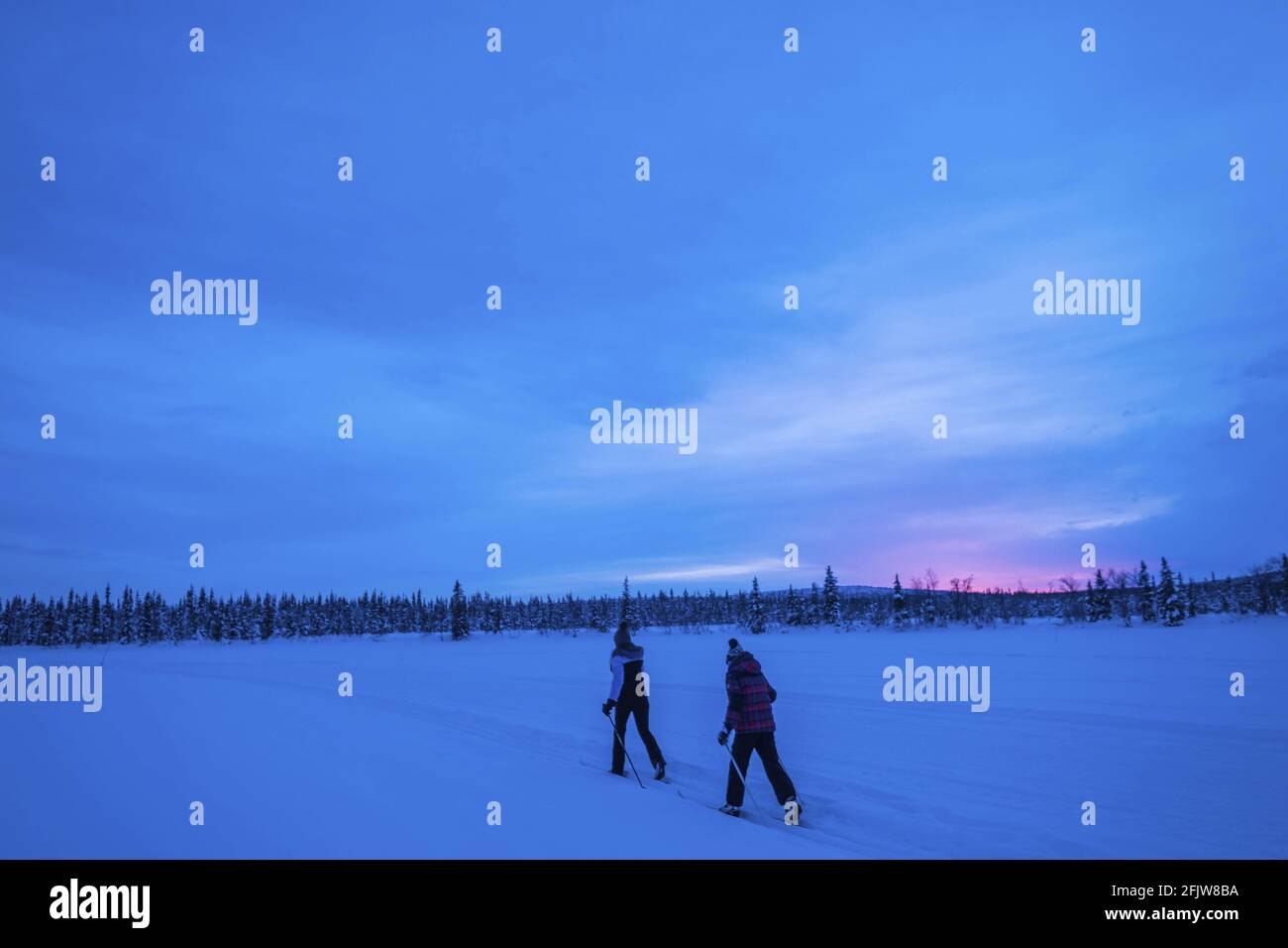 Svezia, Lapponia, Kiruna, alta campo invernale Foto Stock