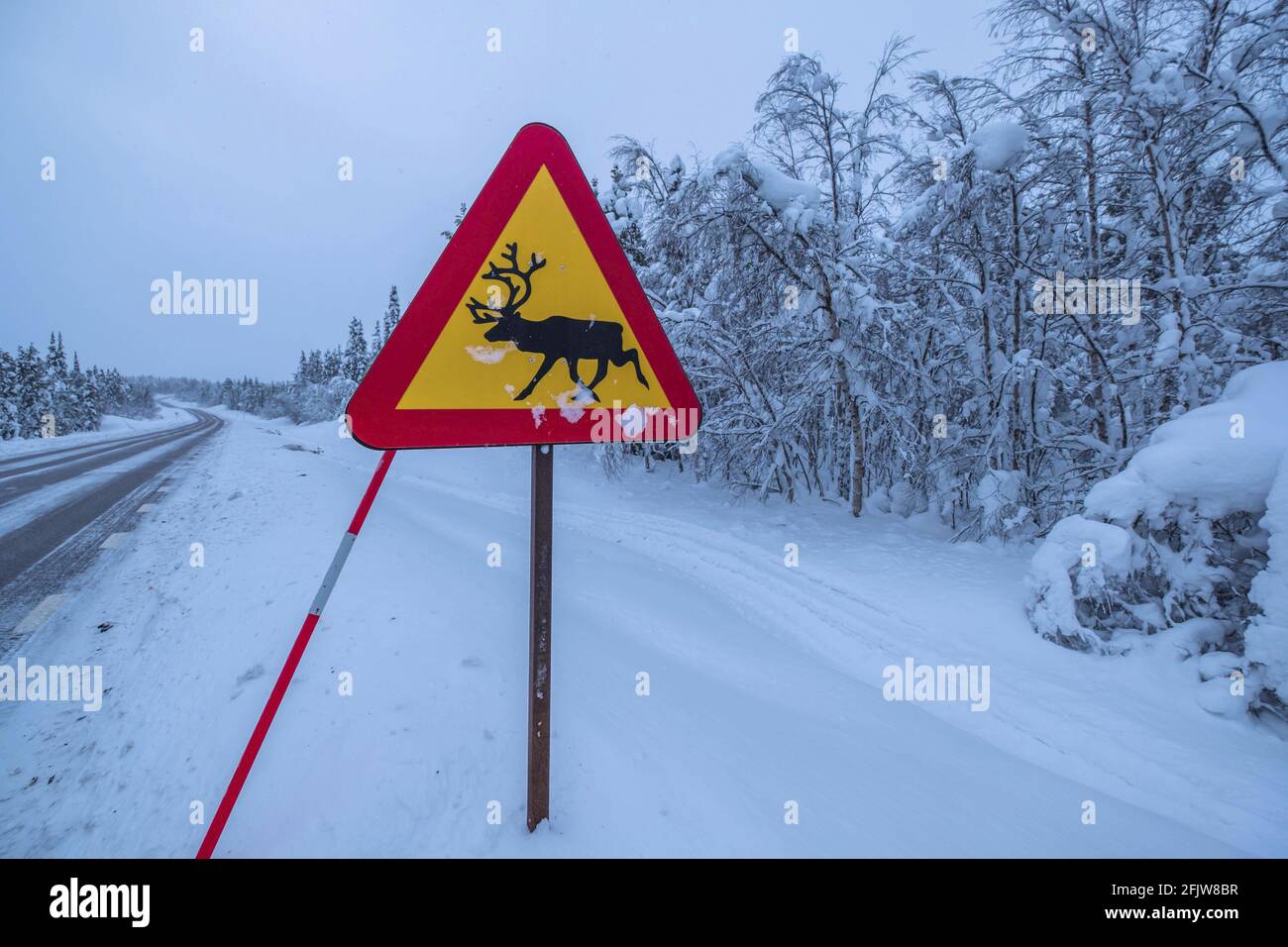 Svezia, Lapponia, Gällivare - strada Kiruna, segnale stradale che indica l'attraversamento gratuito delle renne Foto Stock