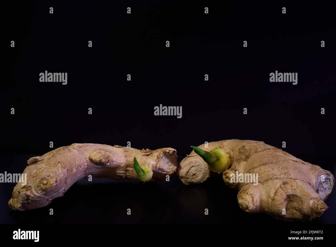 Due rizomi di zenzero preparati per infusioni, cucinare o anche piantare per la coltivazione. Foto Stock