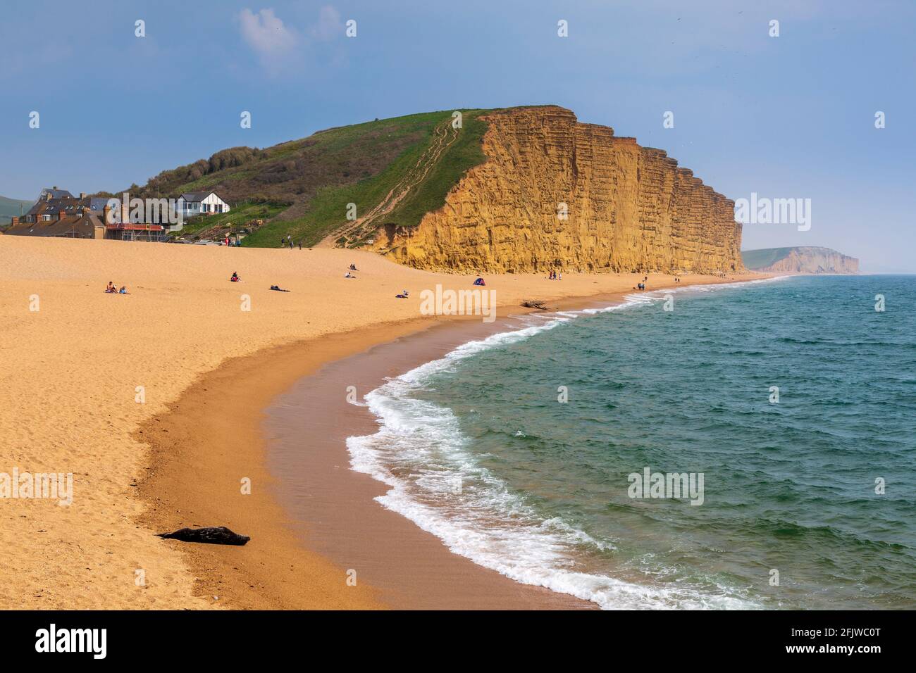 Un sigillo grigio che riposa sulla spiaggia di West Bay con la scogliera orientale sullo sfondo, Dorset, Inghilterra Foto Stock