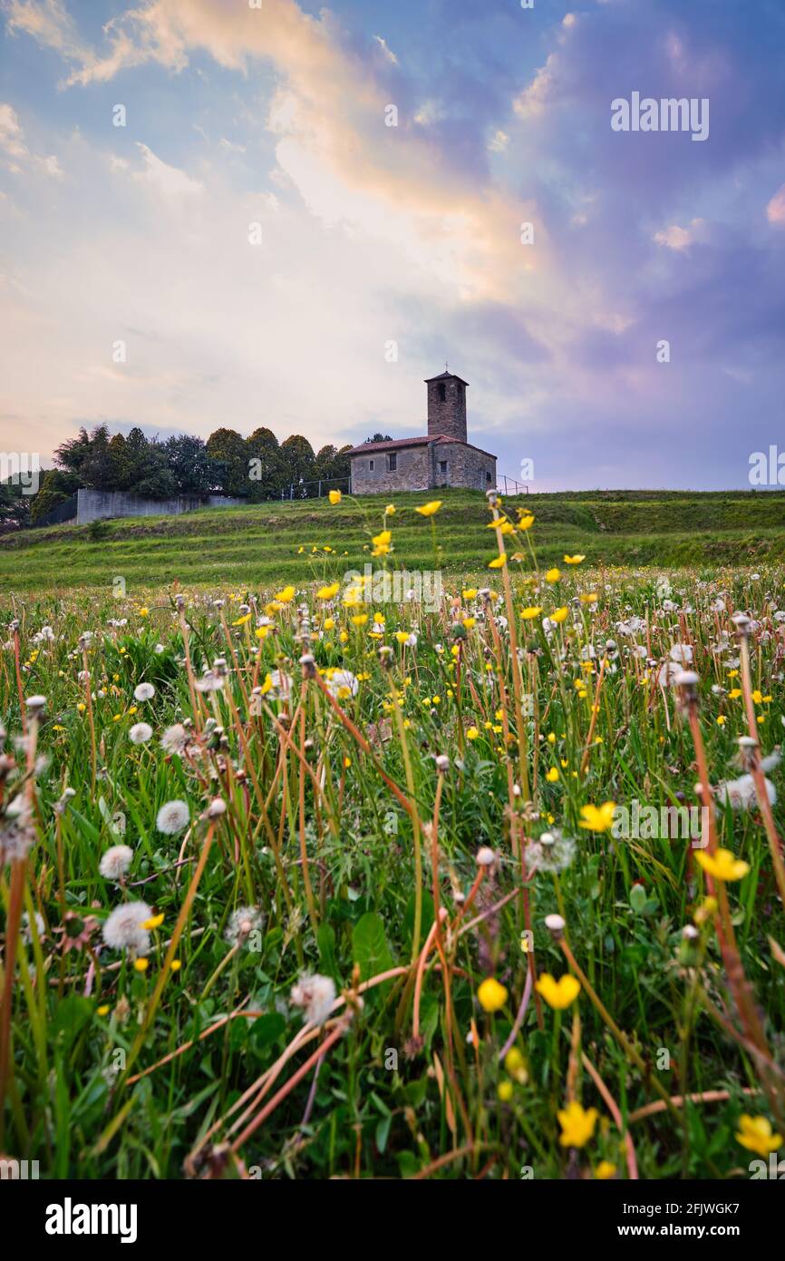 Paesaggio in primavera con fiori gialli e una piccola chiesa antica, Monastero di Garbagnate, Lecco, Lombardia, Italia Foto Stock