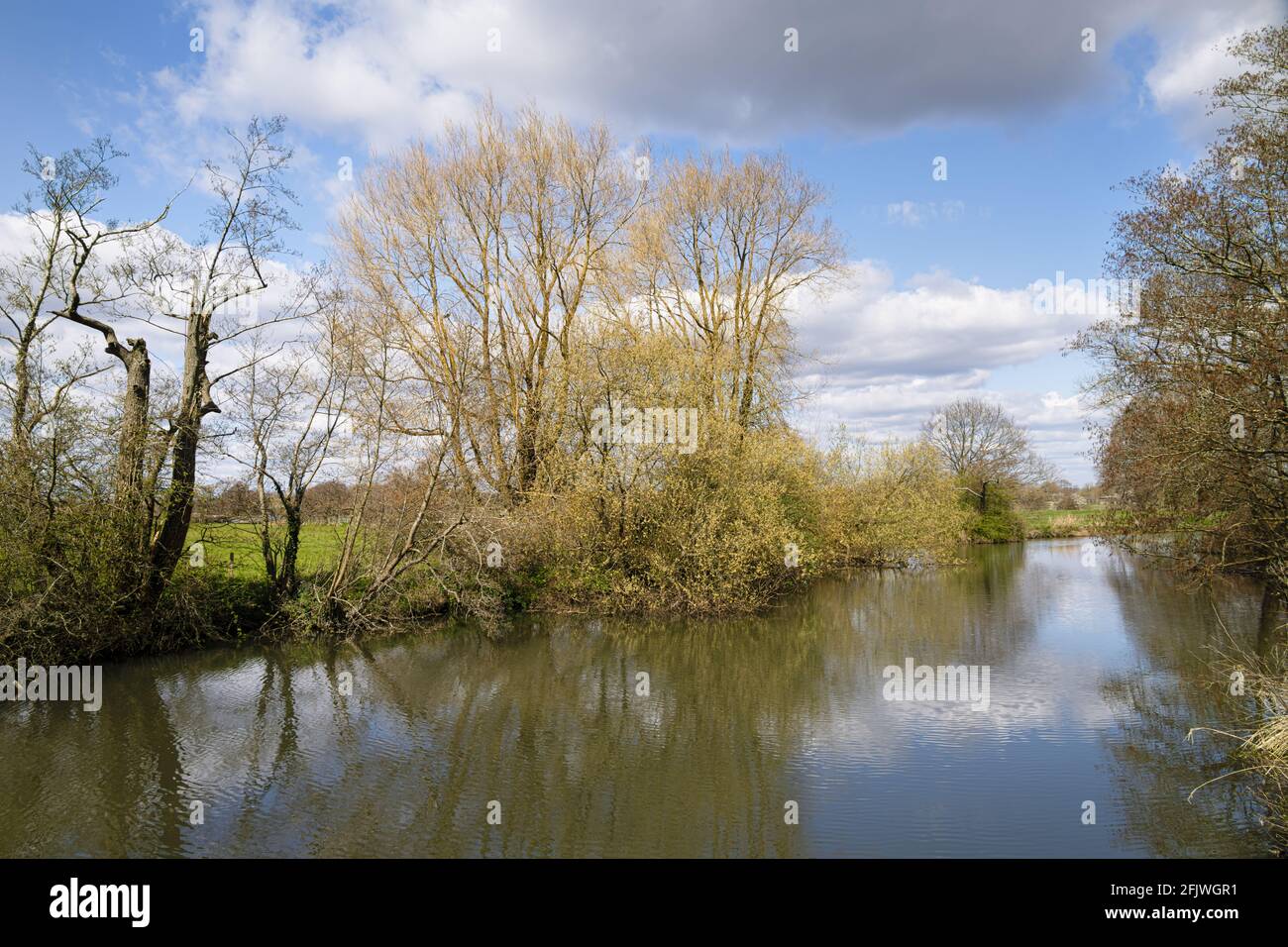 Passeggiata lungo il sentiero dell'Ouse in primavera in un pomeriggio soleggiato Foto Stock