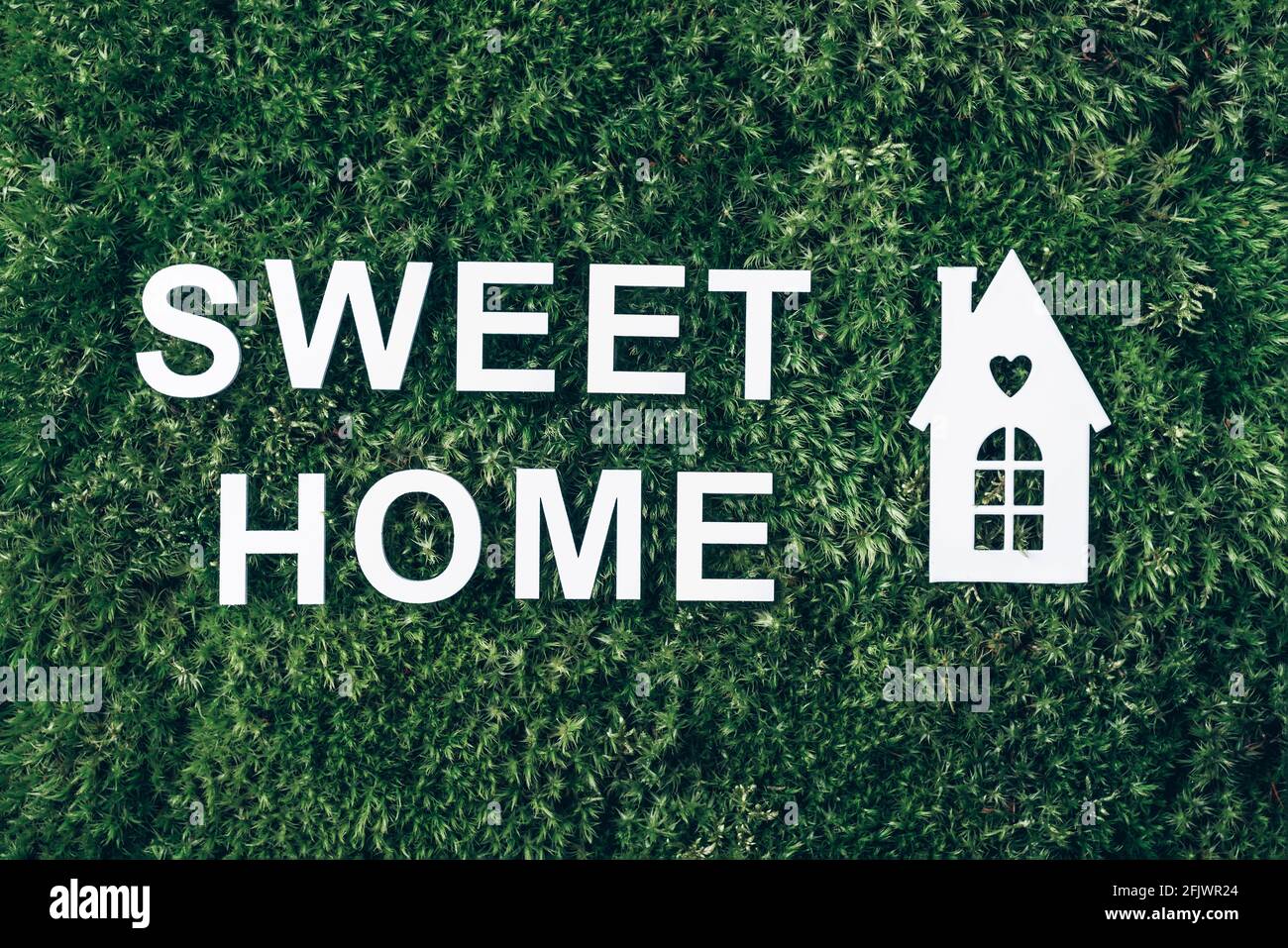 Home dolce casa concetto. Casa bianca e l'icona dell'iscrizione sul campo di erba verde, sfondo muschio. Vista dall'alto. Spazio di copia. Banner. Concetto di biofilia Foto Stock