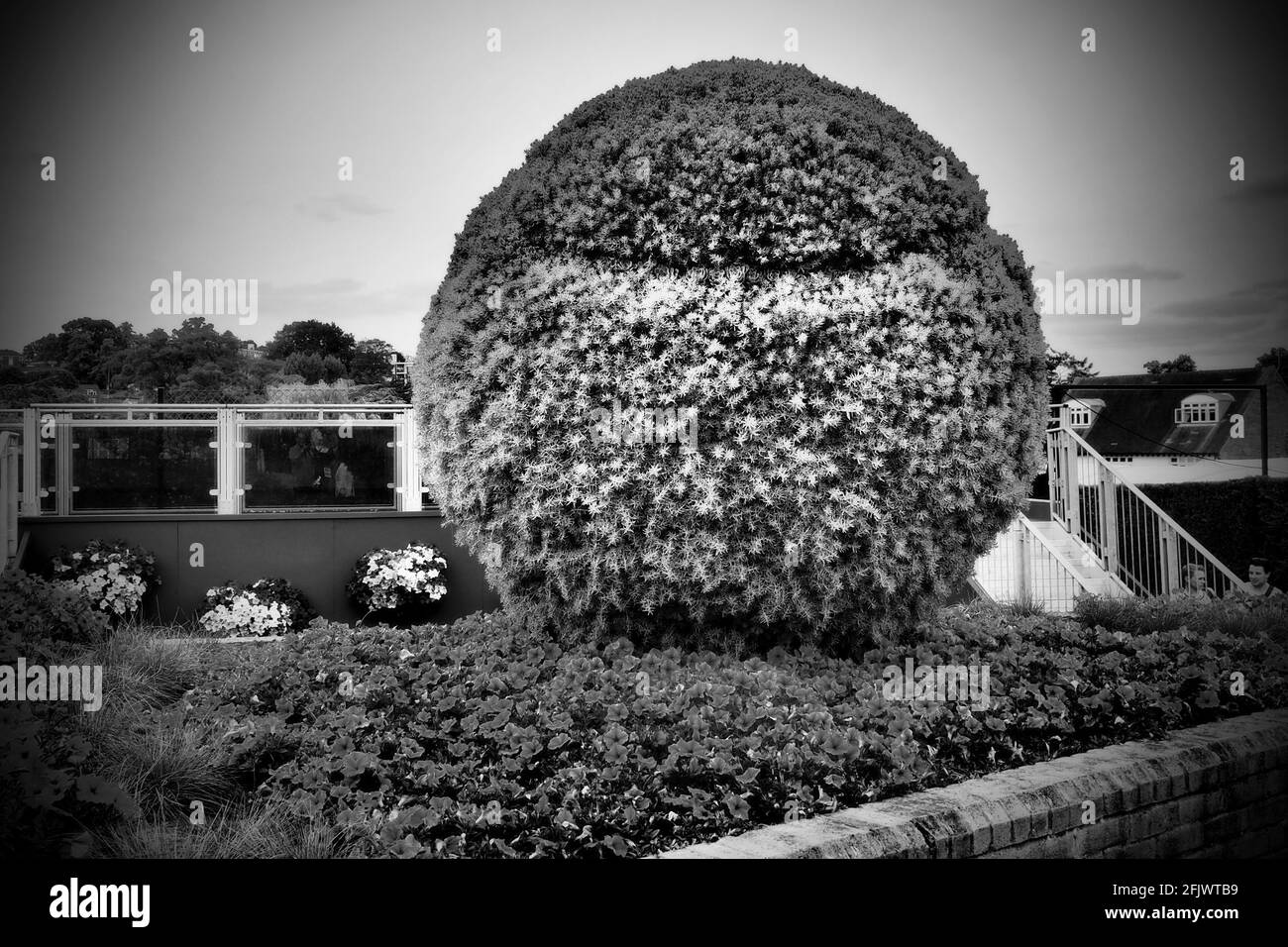 Wimbledon Tennis Ball Foto Stock
