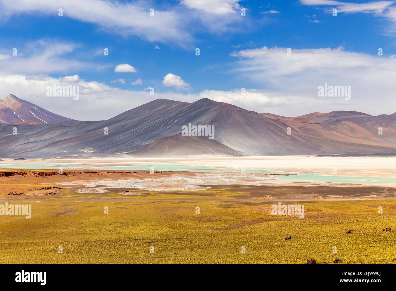 La Laguna di Tuyajto sull'altiplano nel deserto di Atacama nella regione di Antofagasta del Cile settentrionale, Sud America. Foto Stock