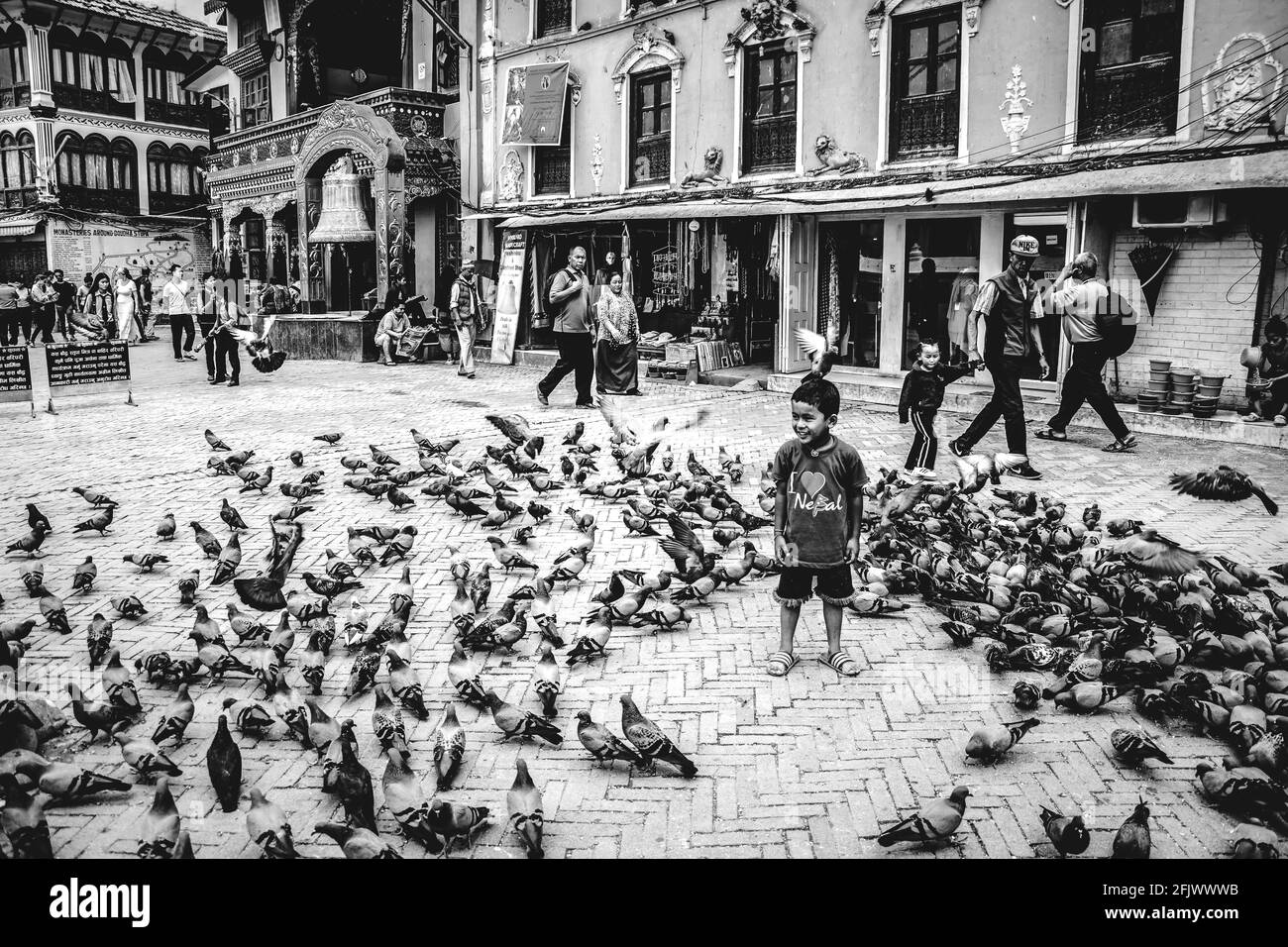 Giocare con Pigeons sulla via kathmandu, Nepal Foto Stock