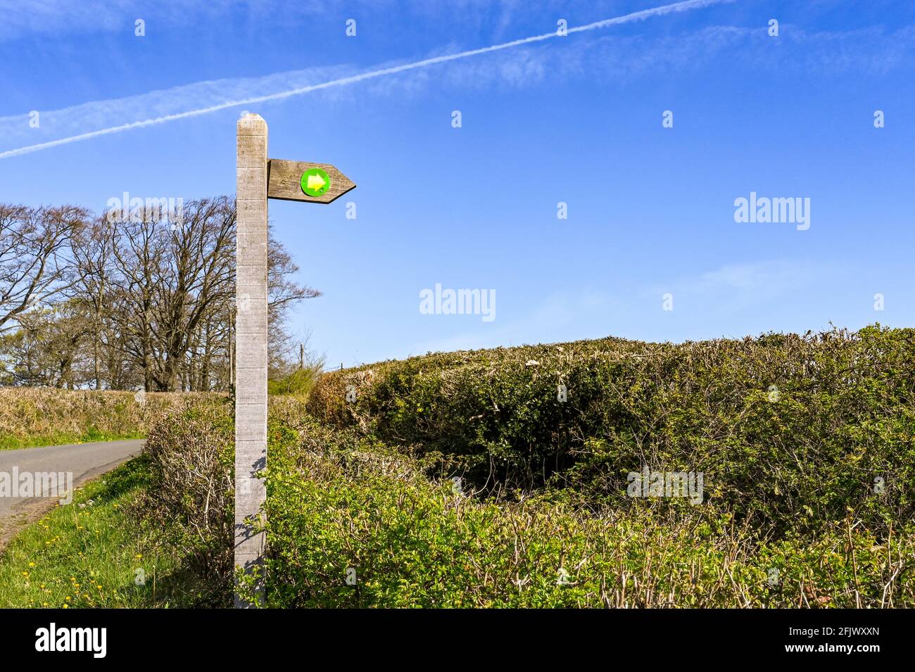 Segno di legno a forma di freccia che mostra la direzione di un sentiero. Nessuna gente. Spazio di copia. Foto Stock