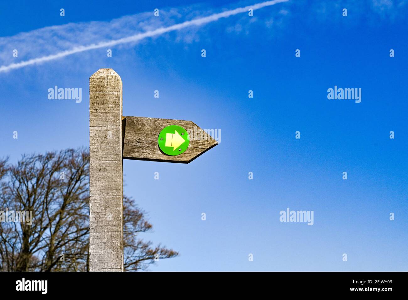 Segno di legno a forma di freccia che mostra la direzione di un sentiero. Nessuna gente. Spazio di copia. Foto Stock
