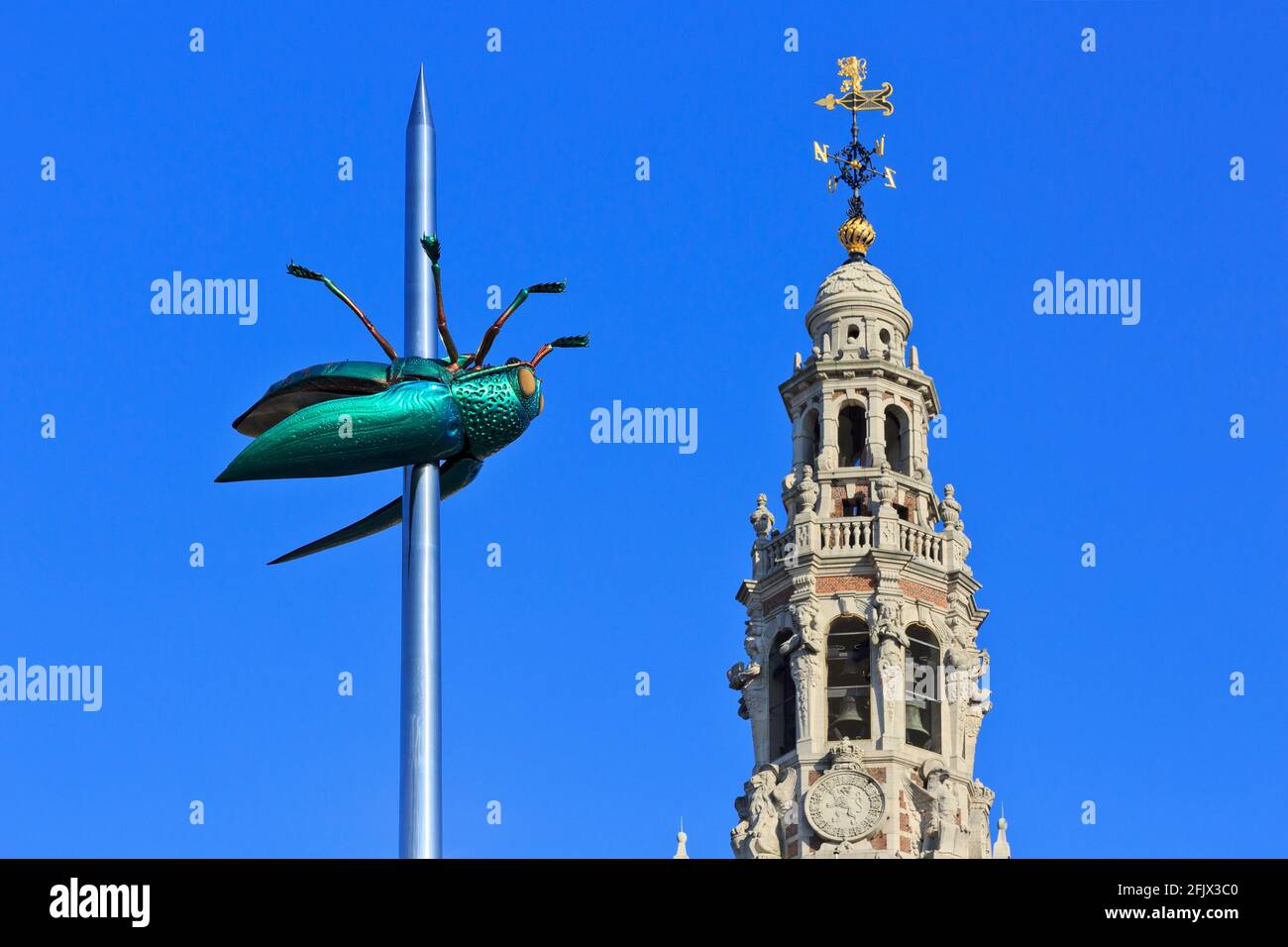 Beetle Totem (2004) del famoso artista belga Jan Fabre (1958) a Leuven/Louvain, Belgio Foto Stock