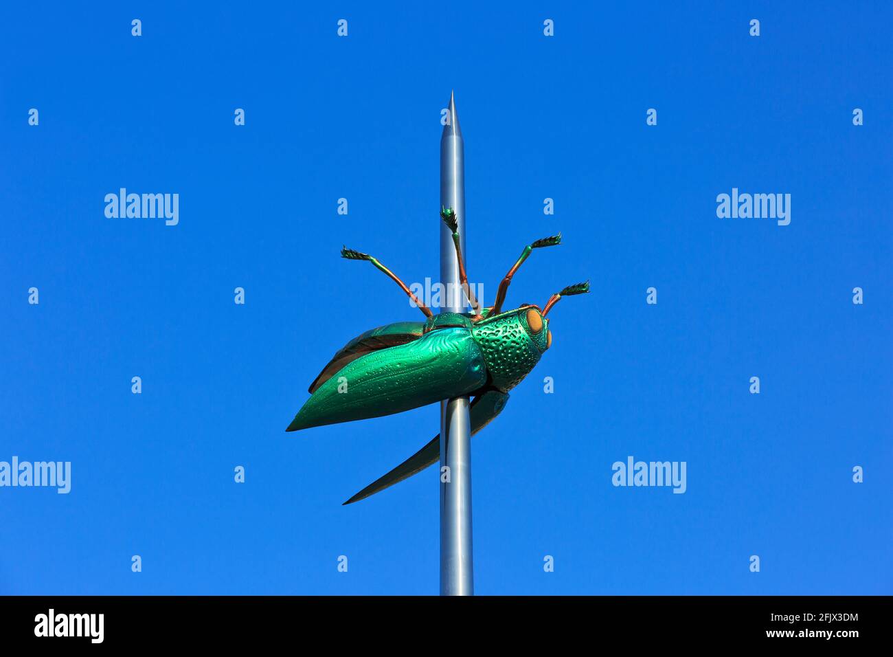 Beetle Totem (2004) del famoso artista belga Jan Fabre (1958) a Leuven/Louvain, Belgio Foto Stock