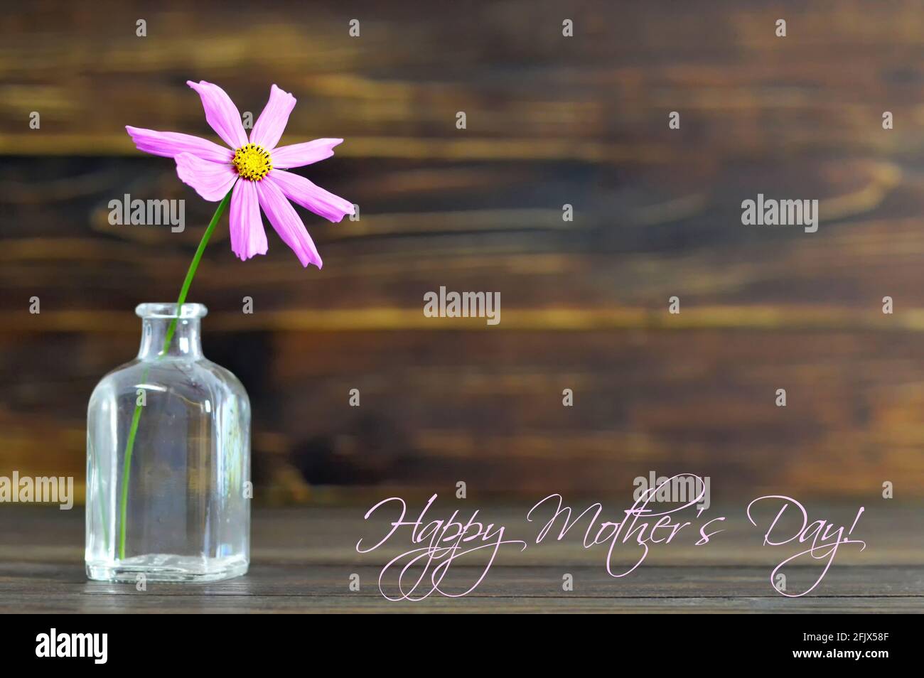 Happy Mothers carta giorno con fiore singolo in vaso Foto Stock