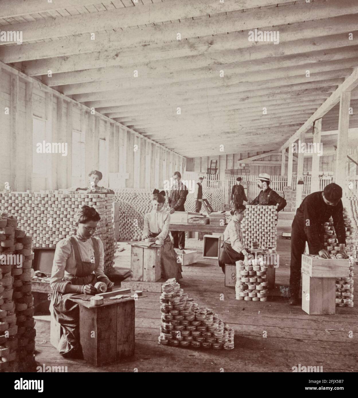 Reparto di spedizione di un'azienda di inscatolamento del salmone, Astoria, Oregon, circa 1904 Foto Stock