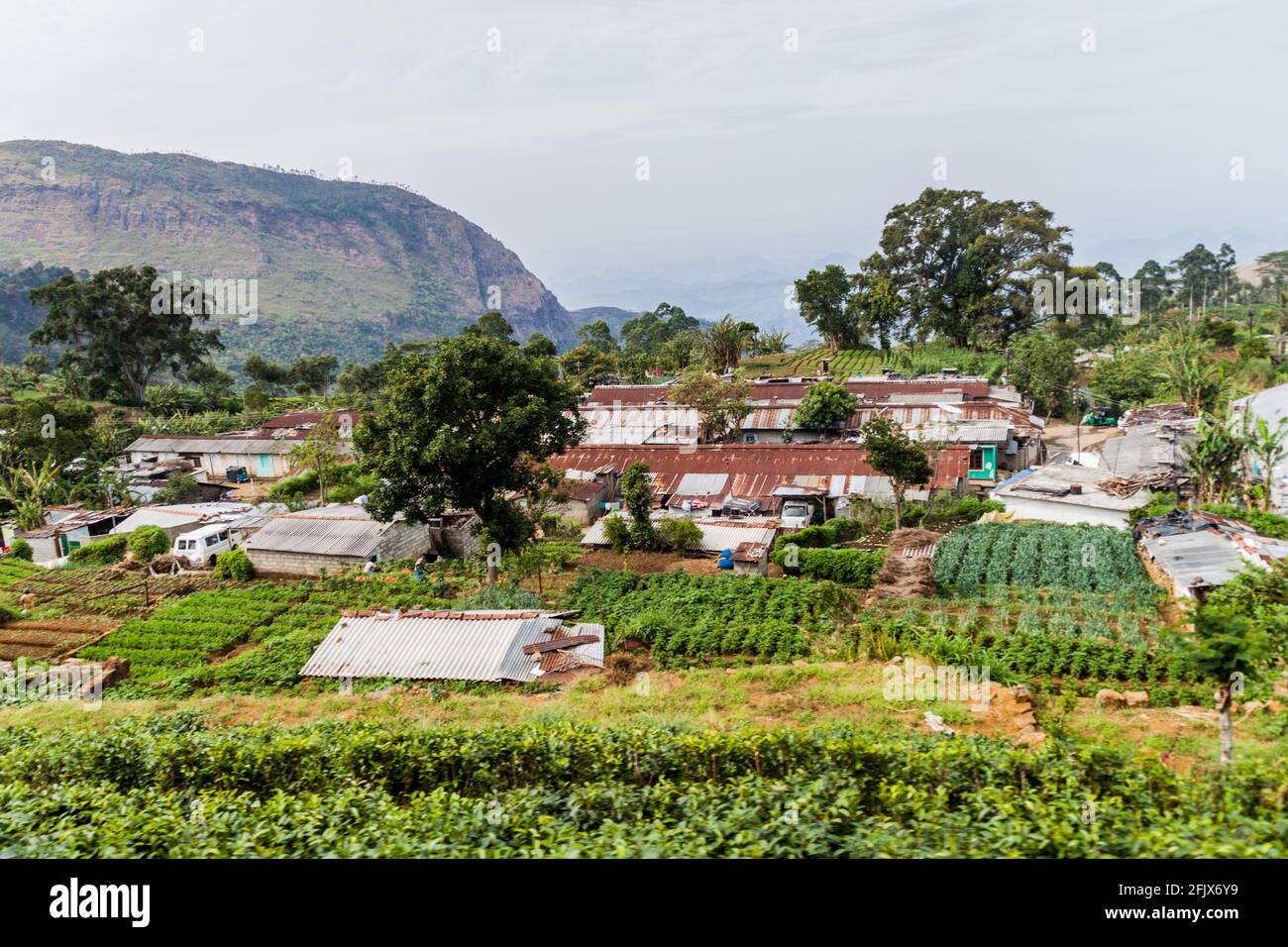 Piccolo villaggio in montagna vicino Haputale, Sri Lanka Foto Stock