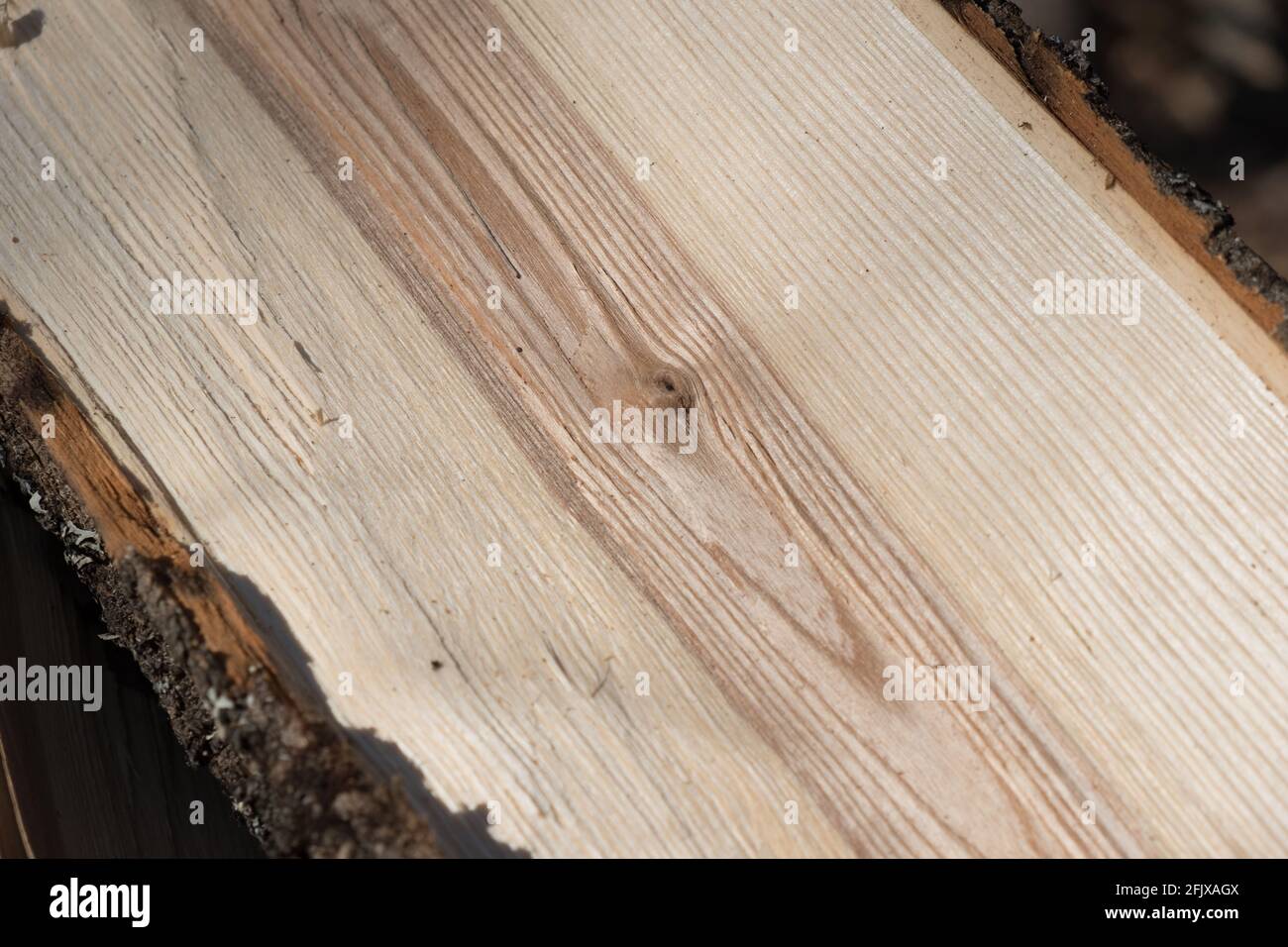 Il grano diritto di frassino bianco orientale albero che è tagliato su per fuoco legno in Vermont, New England, Stati Uniti. Foto Stock