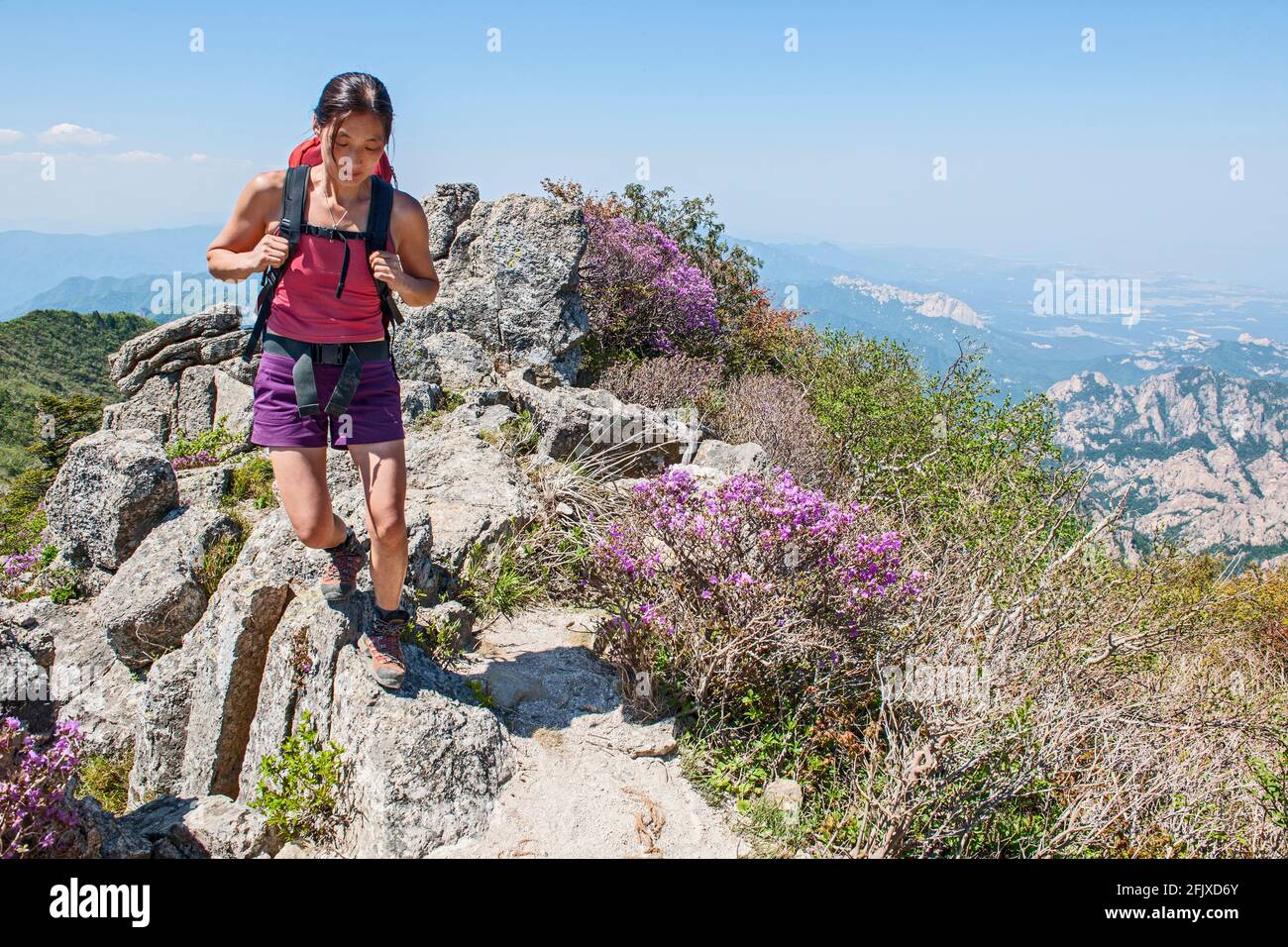 Escursioni verso la vetta di Daecheongbong al parco nazionale di Seoraksan Foto Stock