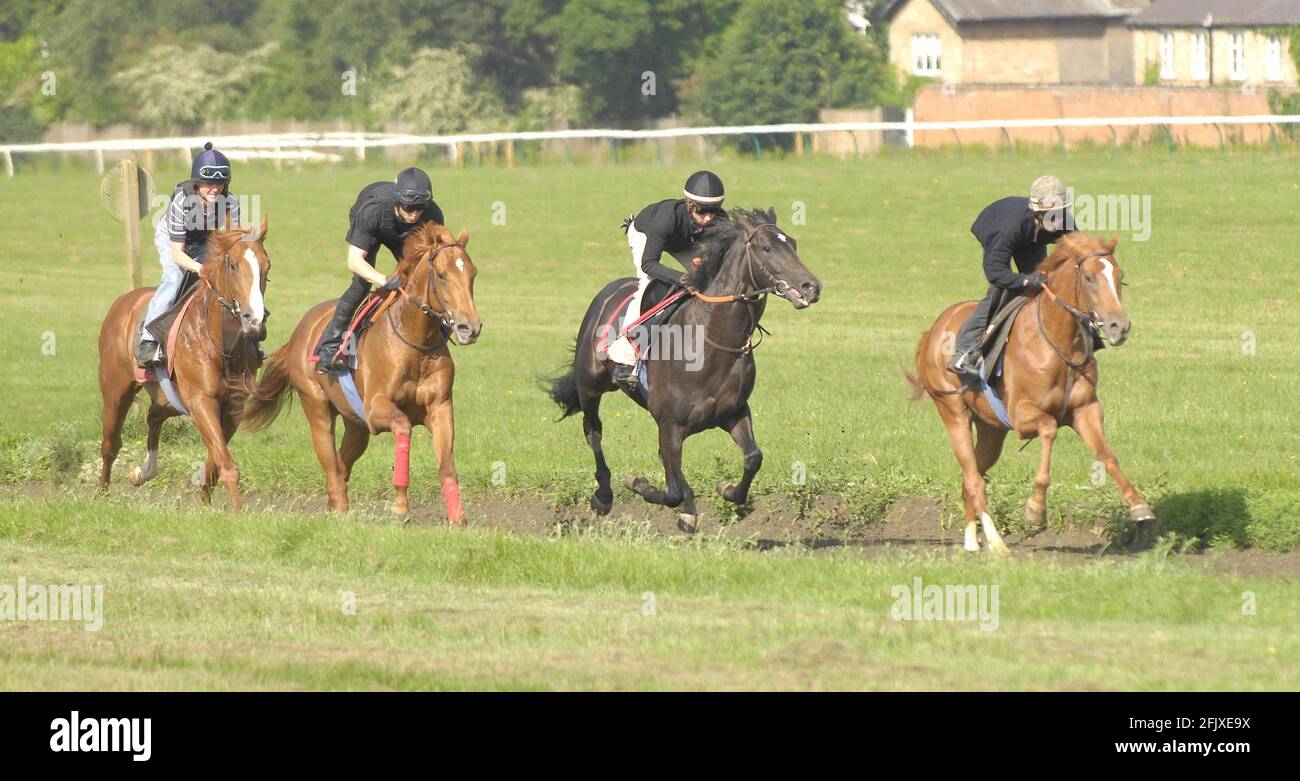Cavalli da Peter Chapple-Hyam scuderia formazione a Newmarket 12/3/6/07. FOTO DAVID ASHDOWNPeter Chapple-Hyam Foto Stock