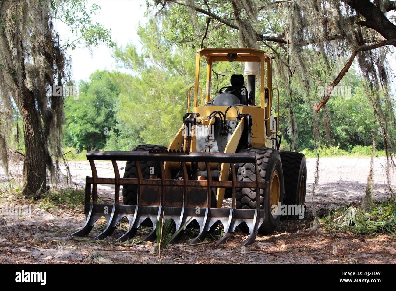 Escavatore idraulico con testa a forca per raccogliere e scavare alberi forestali e liberare il terreno. Foto Stock