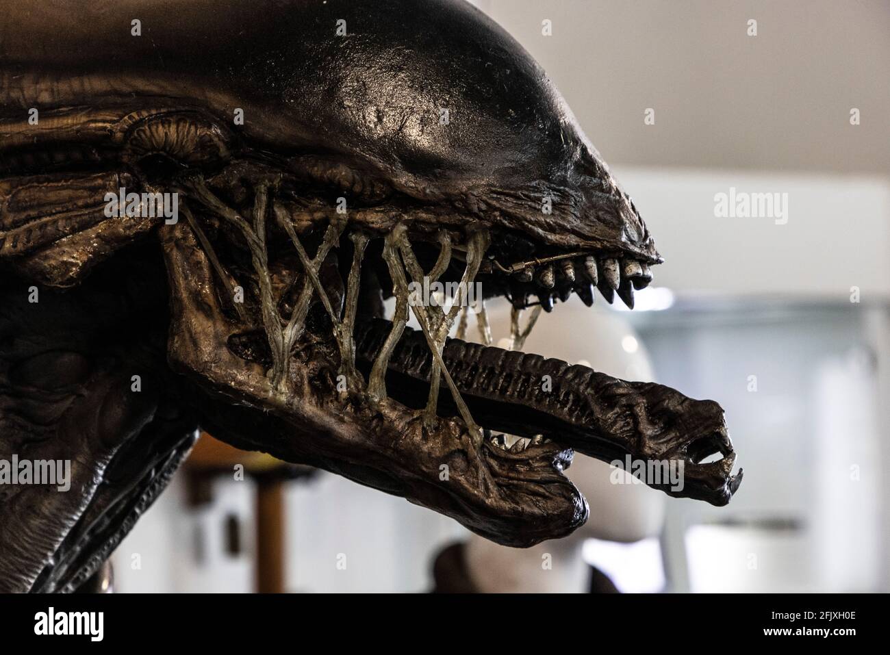 Bel Air, Stati Uniti. 26 Apr 2021. Hollywood Legends e Luminaries asta a Julien's Auctions. Cimeli di alcuni dei più grandi film e star di Hollywood. Tuta creatura aliena 3 Xenomorph "Runner"/"Dog Alien"/"Dragon" di dimensioni standard. 4/26/2021 Beverly Hills, CA USA (Photo by Ted Soqui/SIPA USA) Credit: Sipa USA/Alamy Live News Foto Stock