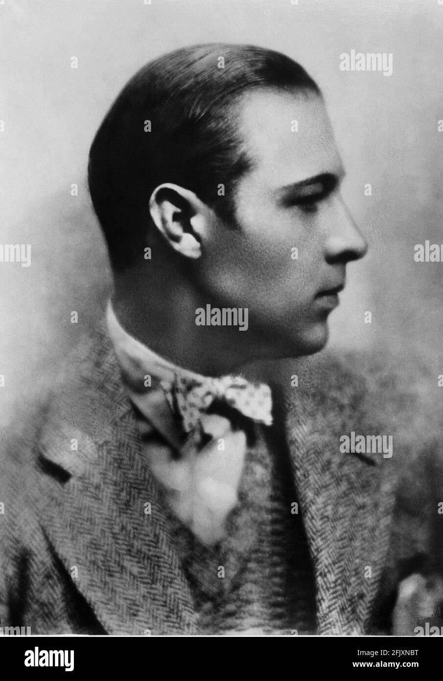 1925 ca, USA : l'attore di film "Silent Screen" RUDOLPH VALENTINO (nato Rodolfo Guglielmi, 1895 - 1926 ) publicitary aldilà DELLE ROCCE ( l'eta' d'amare ) di Sam Wood, tratto dal romanzo di Elinor Glyn, Foto di Henny Waxman .- CINEMA MUTO - RODOLFO VALENTINO - direttore cinematografico - AMANTE LATINO - italoamericano - italo americano - italo-americano - emigrante - emigrante - italo-americano - ritratto - ritratto - papillon - guardo magnetico - grasso - brillantina - cravatta - golf - tricot - profilo ---- Archivio GBB Foto Stock