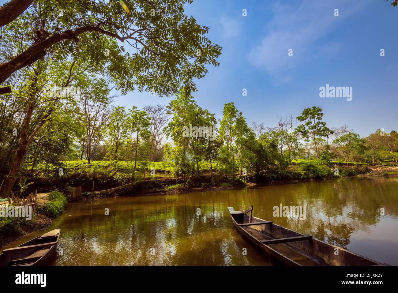 Vista notturna del paesaggio montano con il cielo. Paesaggio naturale della catena montuosa dell'Himalaya con galassia e stelle di notte Foto Stock