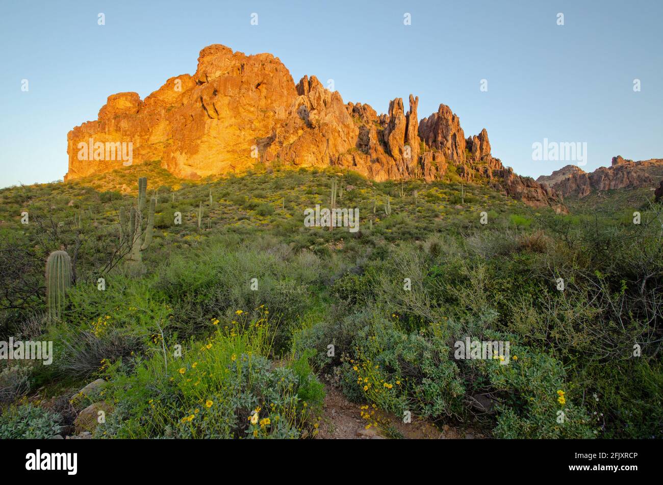 Alba sulle Superstition Mountains Foto Stock