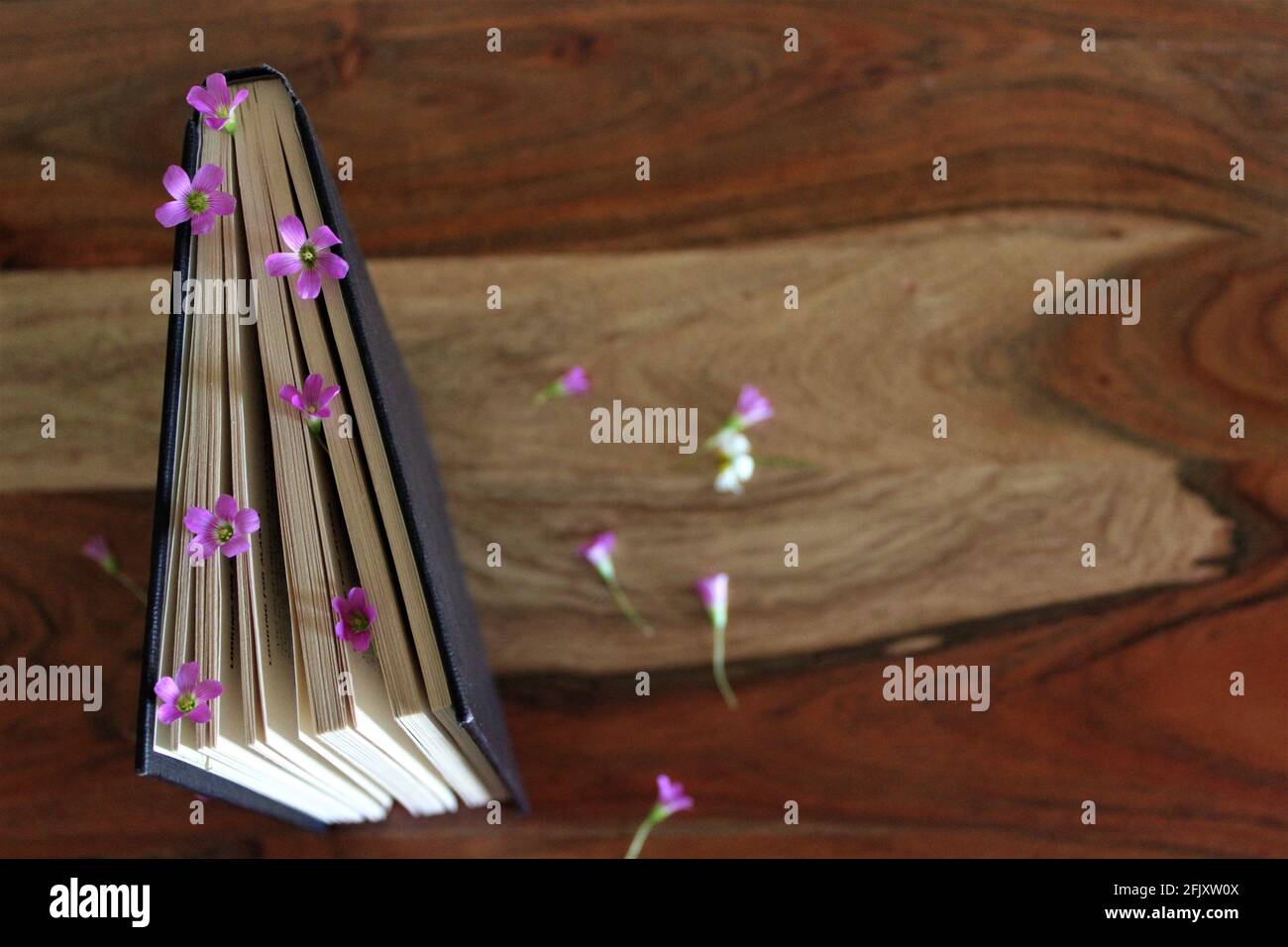 Vista dall'alto di un libro in piedi con fiori tra le pagine su un rustico tavolo di legno con spazio per la copia. Foto Stock