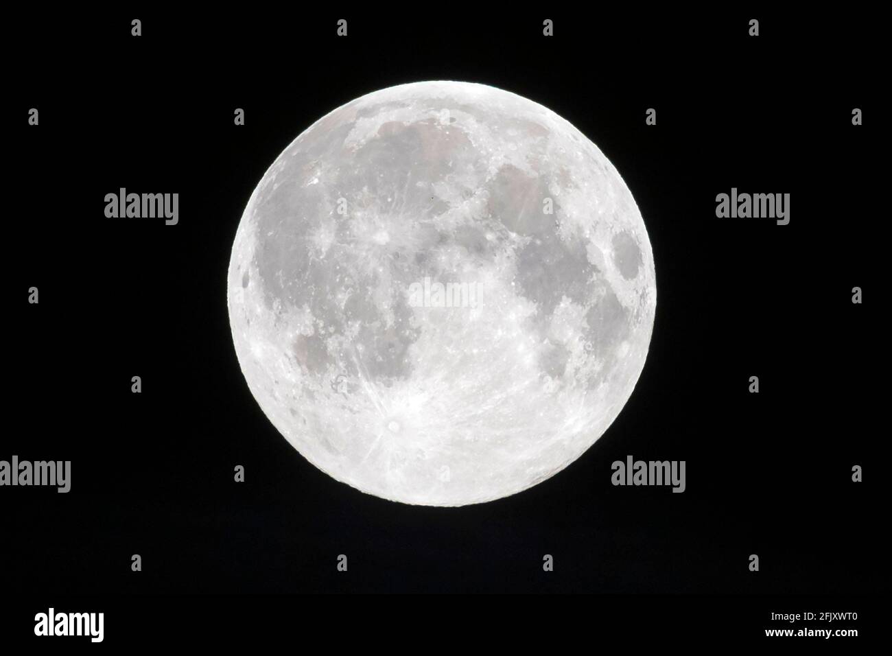 27 aprile 2021. Londra, Regno Unito. Foto di Ray Tang. La prima Supermoon rosa appare nel cielo la mattina presto. Una Superluna si verifica quando la Luna piena nello stesso momento in cui la Luna è al (o vicino) perigeo. Questo fa apparire fino al 14 per cento più grande e il 30 per cento più luminoso di una Luna piena ad apogee Foto Stock