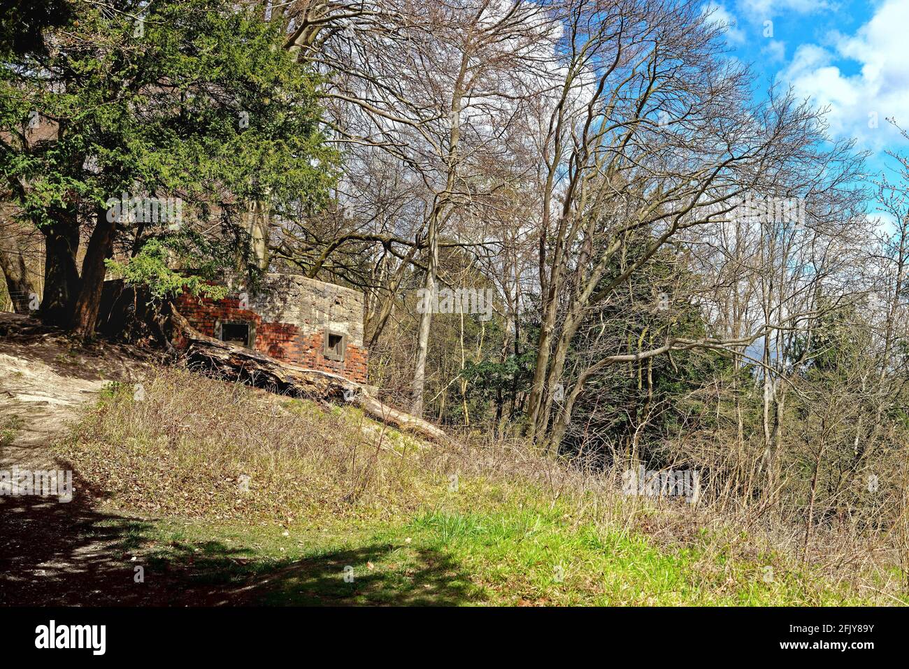 Una scatola abbandonata della seconda guerra mondiale sul Nord Downs vicino a Dorking nel Surrey Hills Inghilterra Regno Unito Foto Stock
