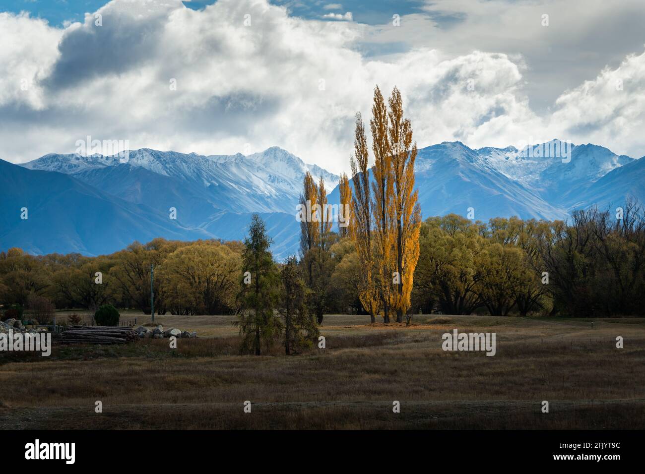 Alberi d'autunno dorati con ben Ohau Range sullo sfondo, Twizel, Isola del Sud Foto Stock