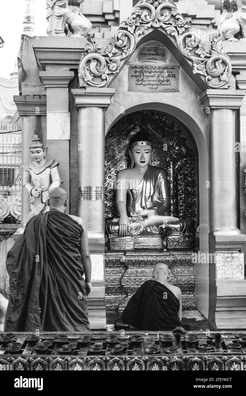 Monaci buddisti che pregano alla Pagoda Shwedagon, Yangon, Myanmar. Foto Stock