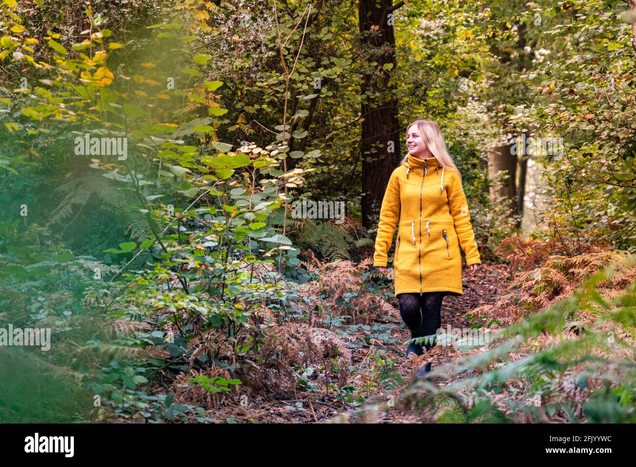 Donna bionda in giacca gialla che cammina attraverso una foresta di compensazione sopravcrescita con felce Foto Stock