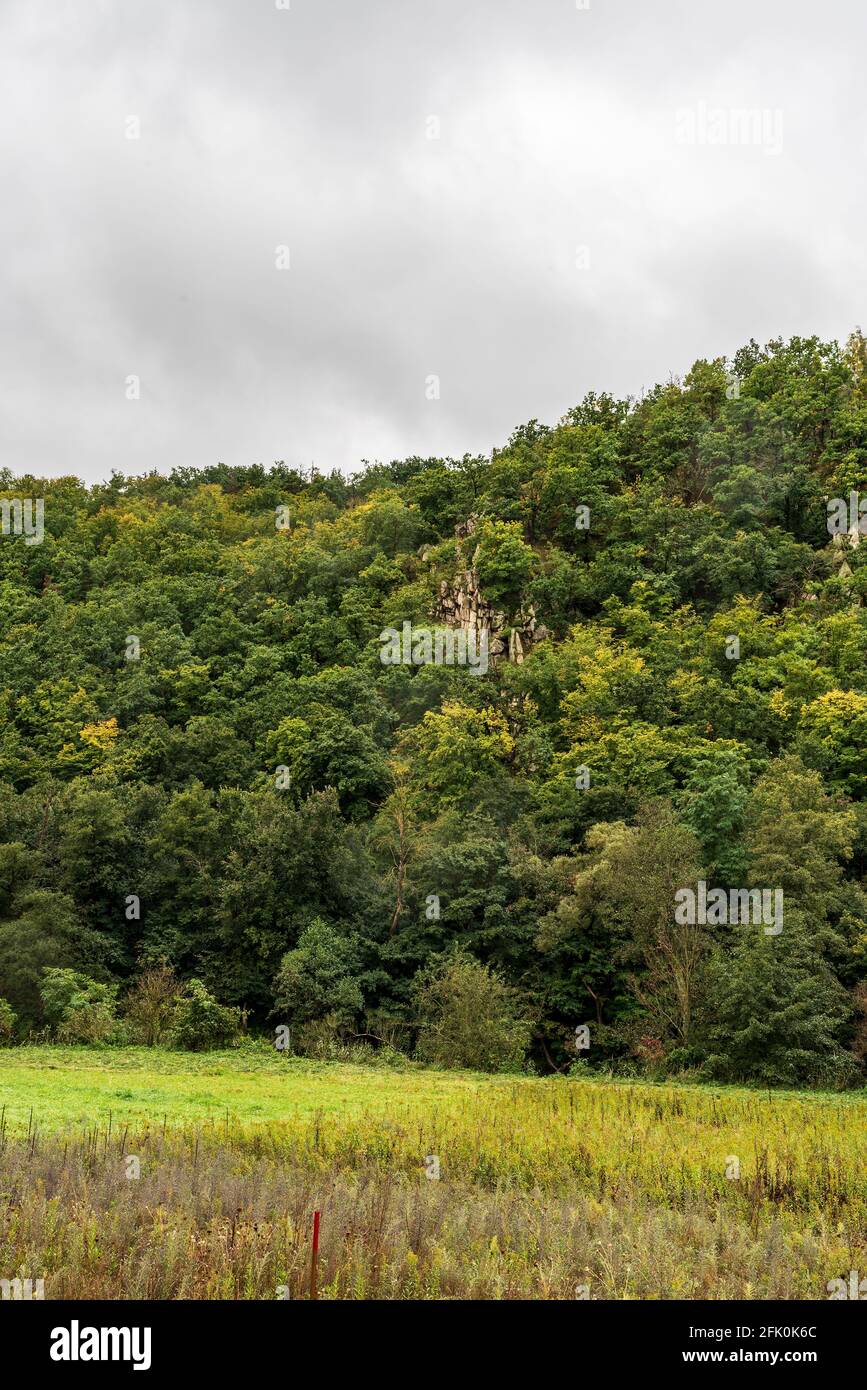 Prato con collina coperta da foresta con formazione rocciosa più piccola Bellow Sobes vigneto nel parco Narodni Podyji in Repubblica Ceca durante la nuvolosa giornata autunnale Foto Stock