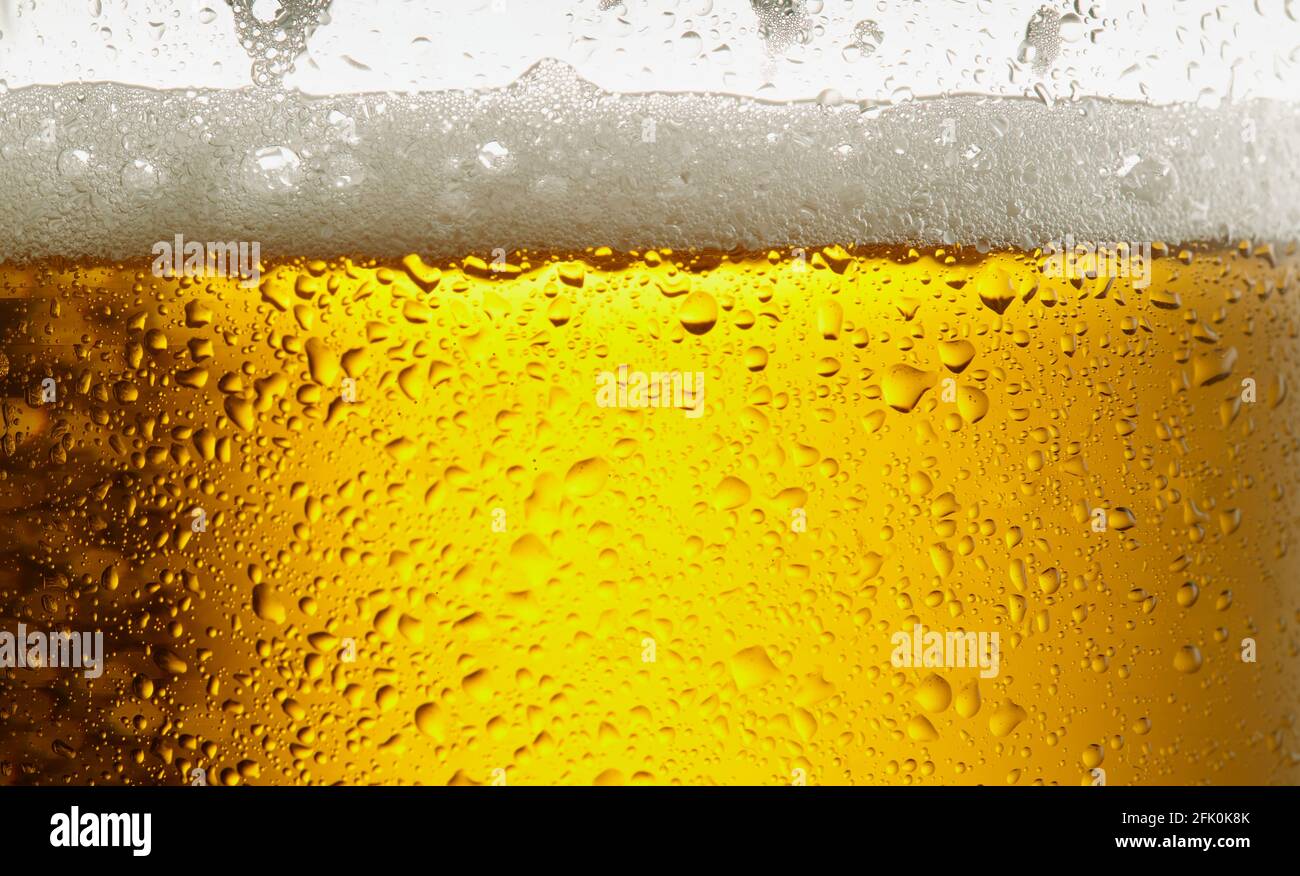 Birra. Birra artigianale leggera e fredda in un bicchiere. Primo piano con una pinta di birra Foto Stock