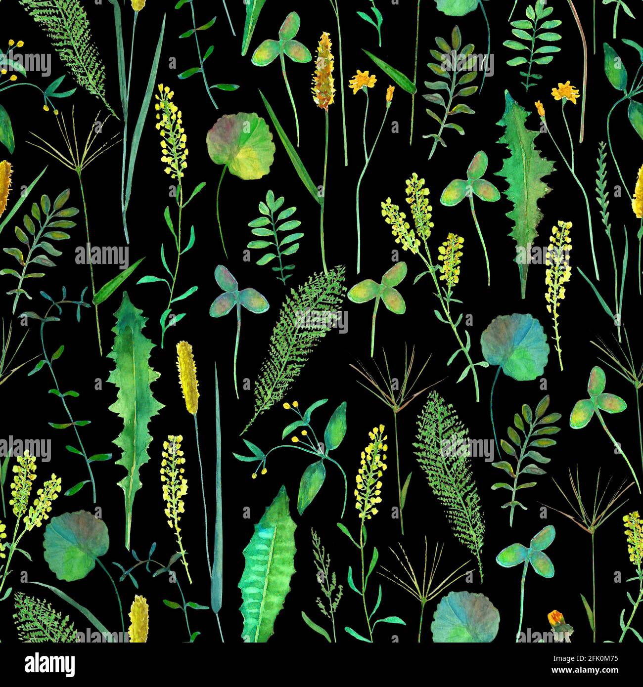 Modello senza cuciture con fiori selvatici prato, erbe, erbe. Acquerello disegnata a mano illustrazione botanica su sfondo nero. Acquerello floreale erbe Foto Stock