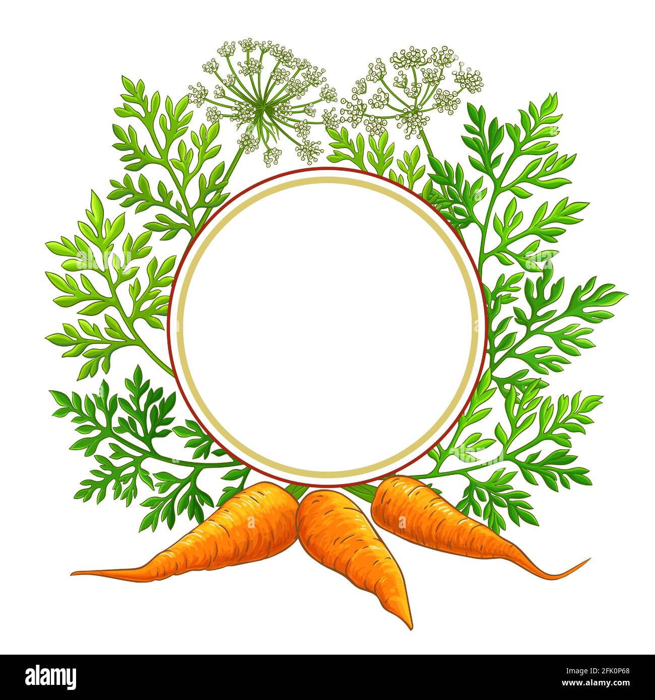 carota cornice su sfondo bianco Illustrazione Vettoriale