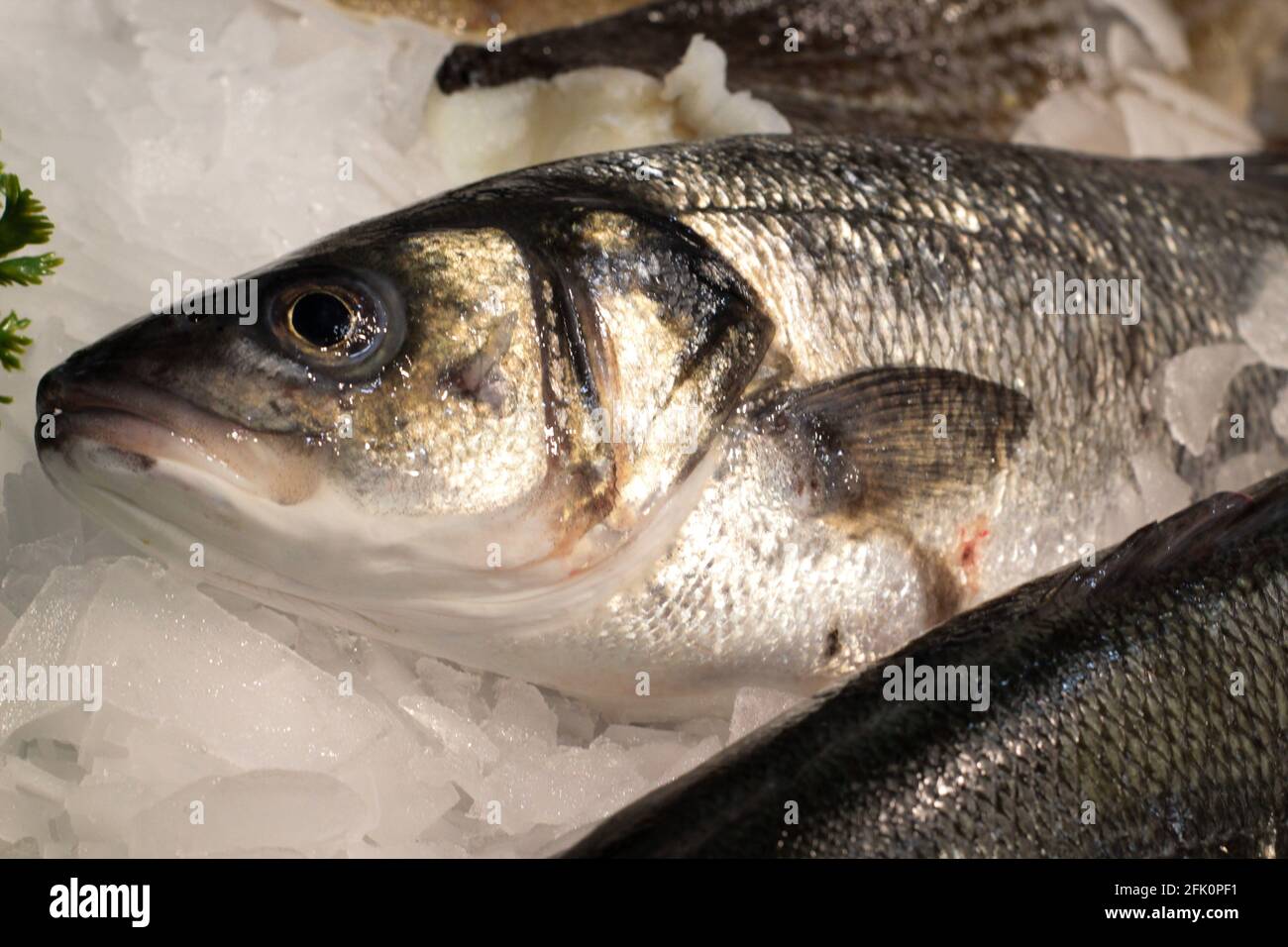 Primo piano di pesce fresco su ghiaccio al pesce mercato Foto Stock