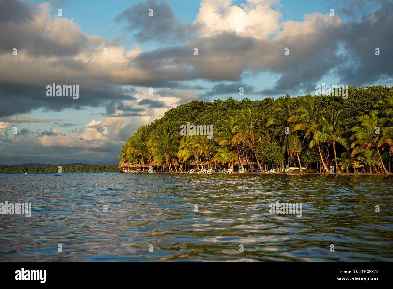 Starfish Beach all'alba, Bocas del Toro isola, Panama, America Centrale Foto Stock