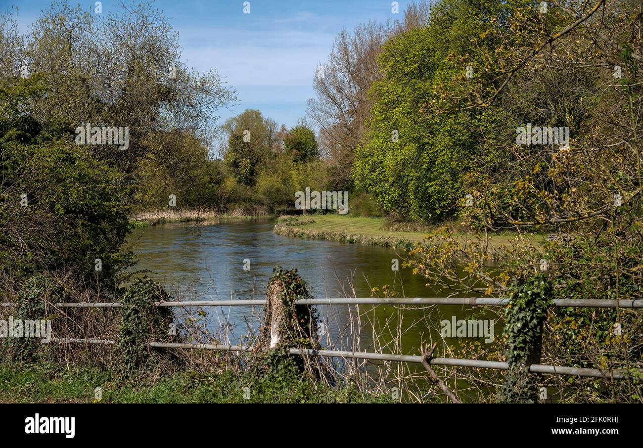 Stockbridge, Hampshire, Inghilterra, Regno Unito. 2021. Il famoso torrente di gesso River Test come scorre attraverso la contea di Hampshire nel sud dell'Inghilterra, Regno Unito Foto Stock