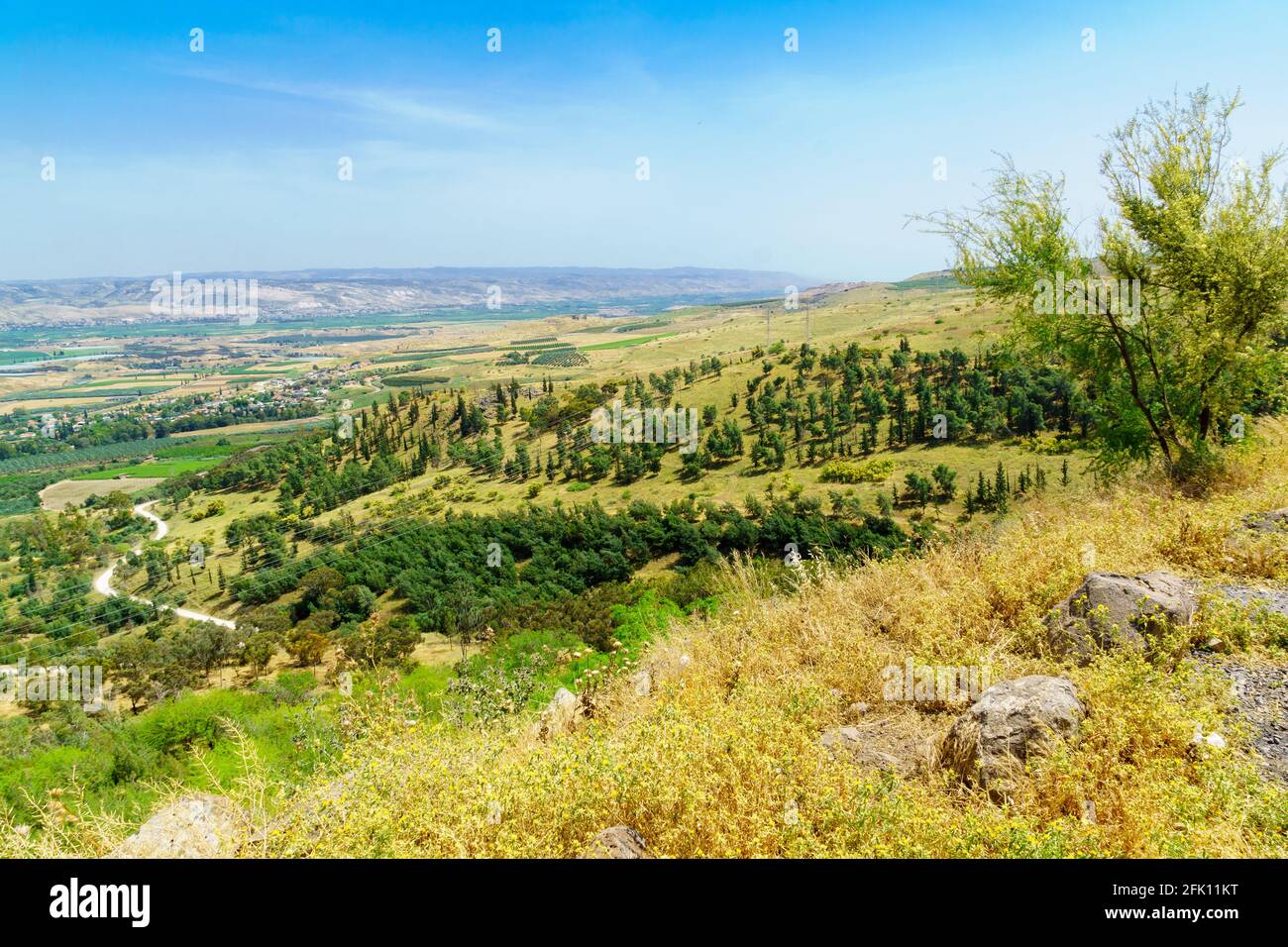 Vista sul paesaggio della valle del fiume Lower Jordan. Israele settentrionale Foto Stock