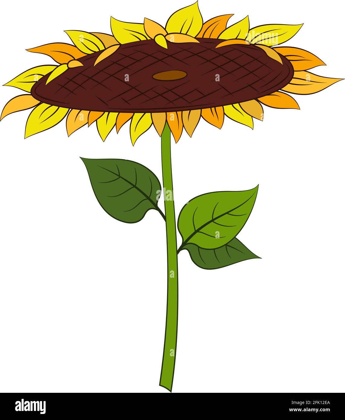 Girasole con foglie Illustrazione Vettoriale