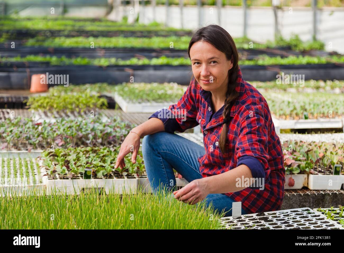 Ritratto candida di donna felice che lavora in una serra. Concetto: Agricoltura sostenibile, industrie alimentari naturali Foto Stock