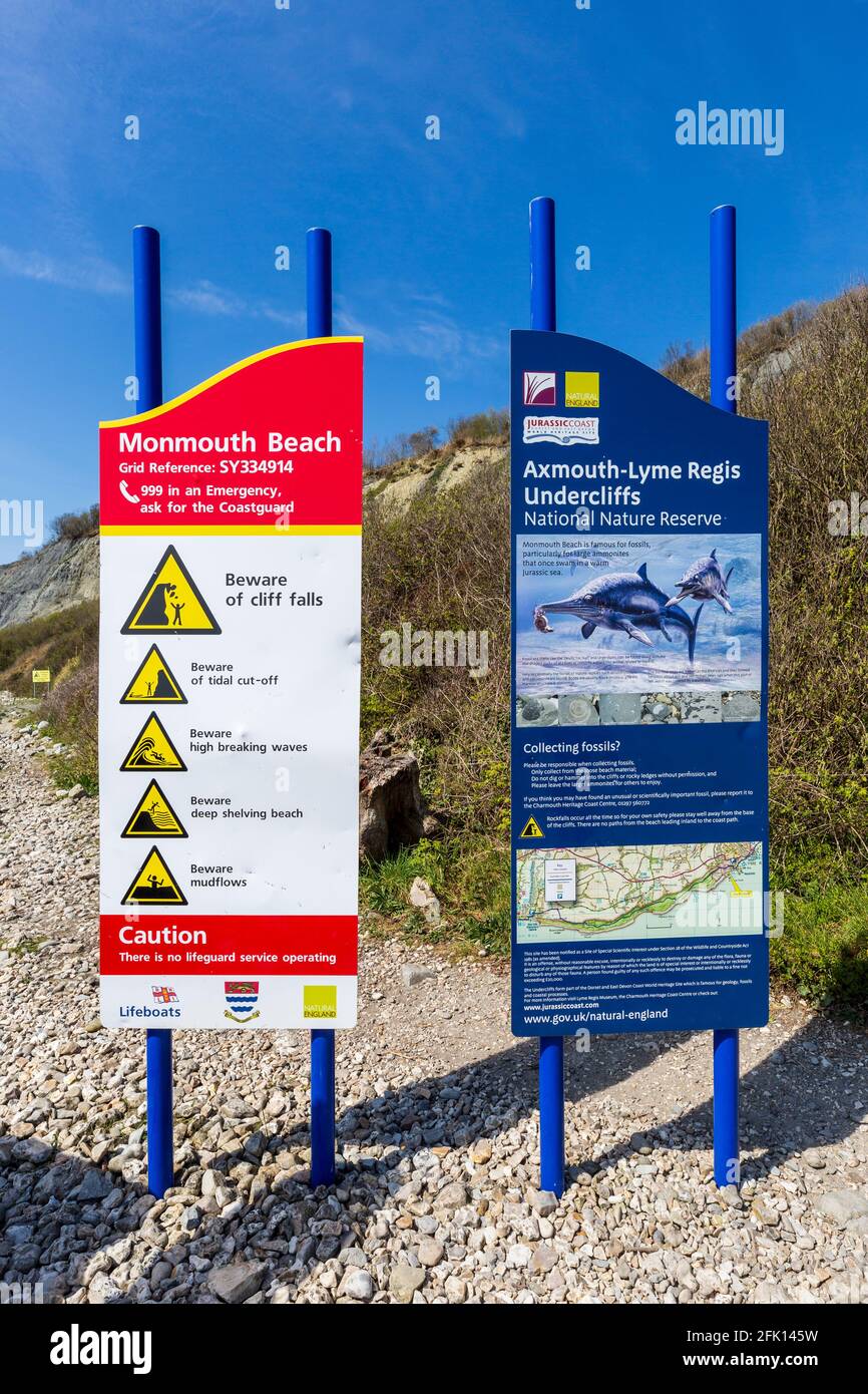 Riserva naturale di Monmouth Beach Sign on the Axmouth to Lyme Regis Underscogliere, Dorset, Inghilterra Foto Stock