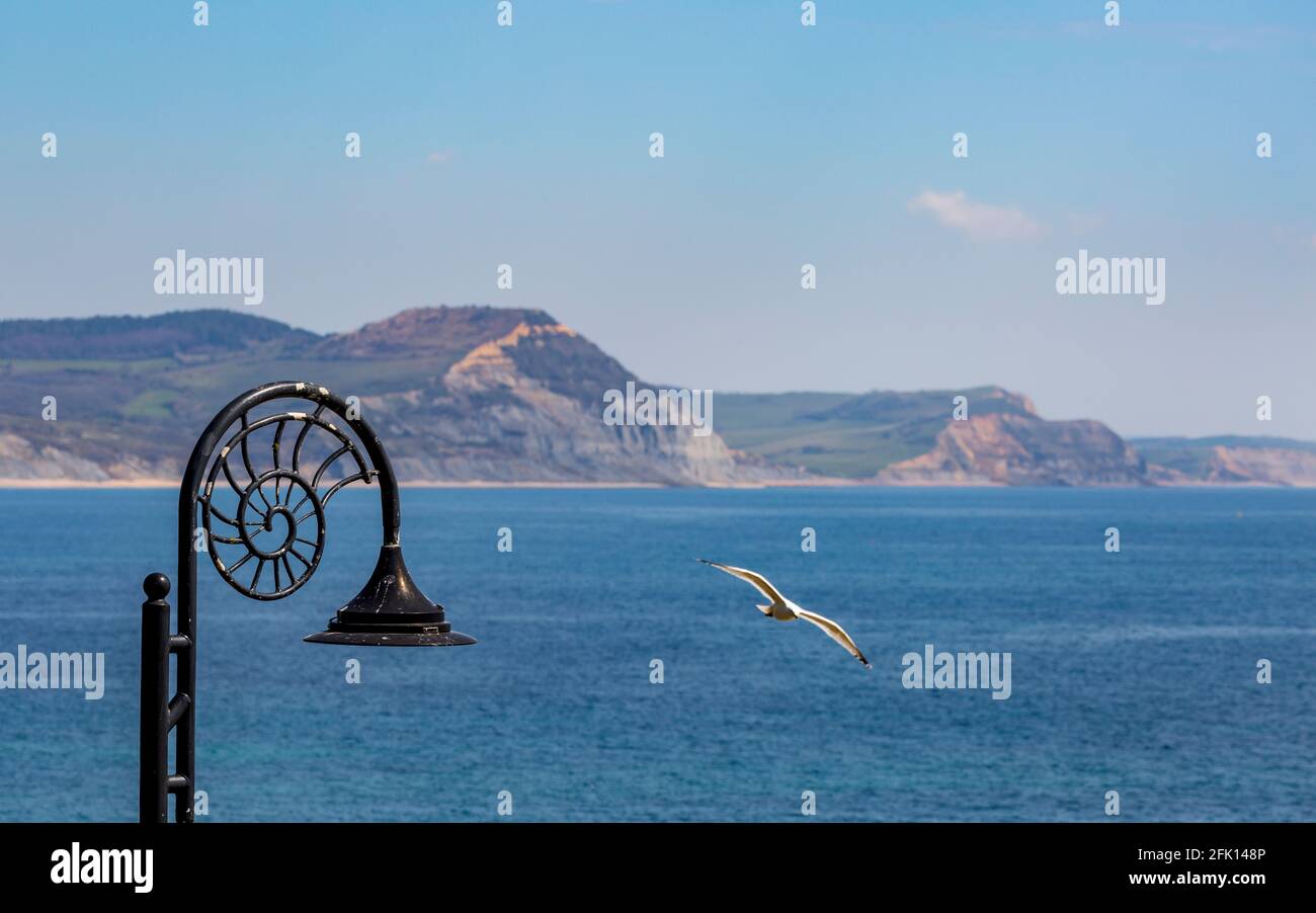 Un lampione Ammonite Regis di Lyme con la Costa Jurassica sullo sfondo, Dorset, Inghilterra Foto Stock