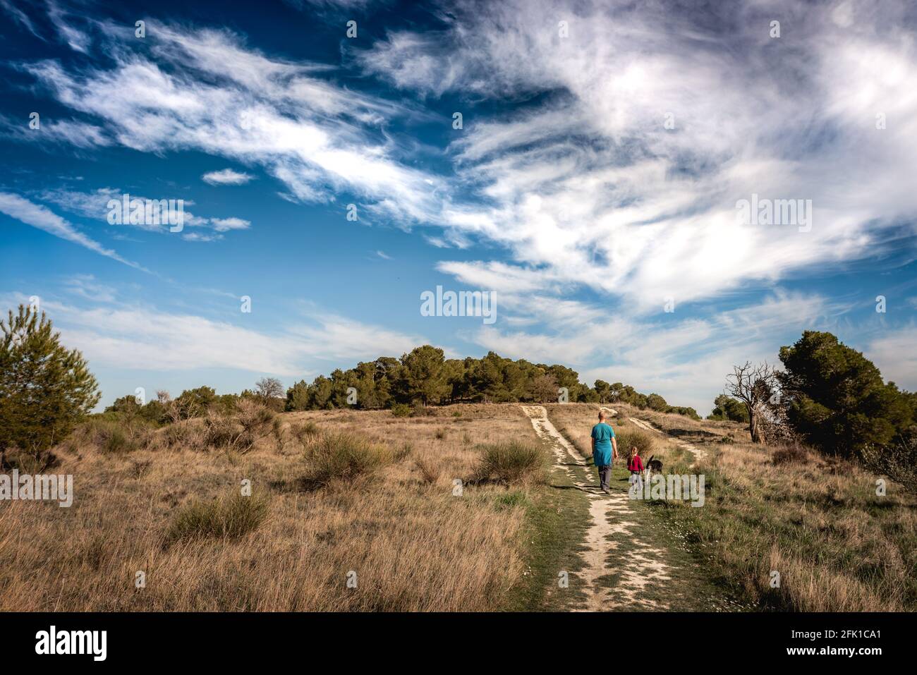 Padre, figlia e cane camminano su collina nel sud della Francia in estate Foto Stock