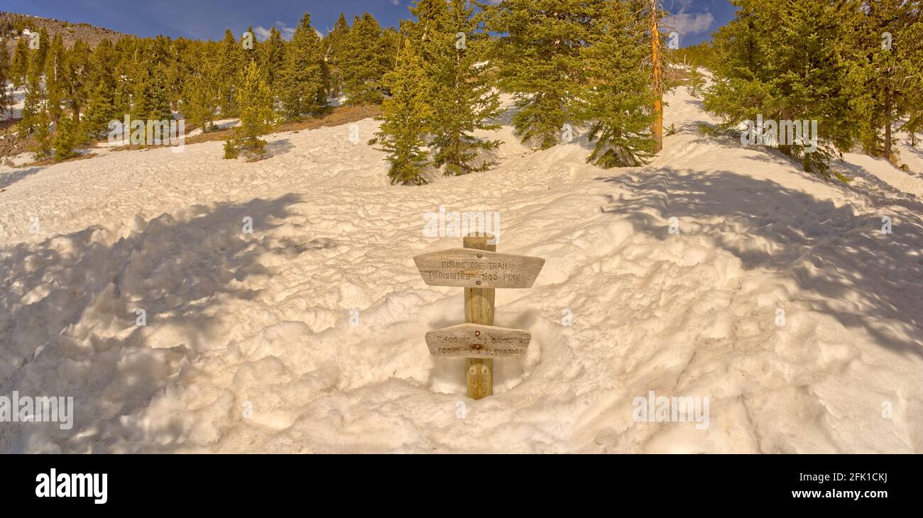 11,400 metri di marcatura sulla strada per Humphrey's Peak Foto Stock